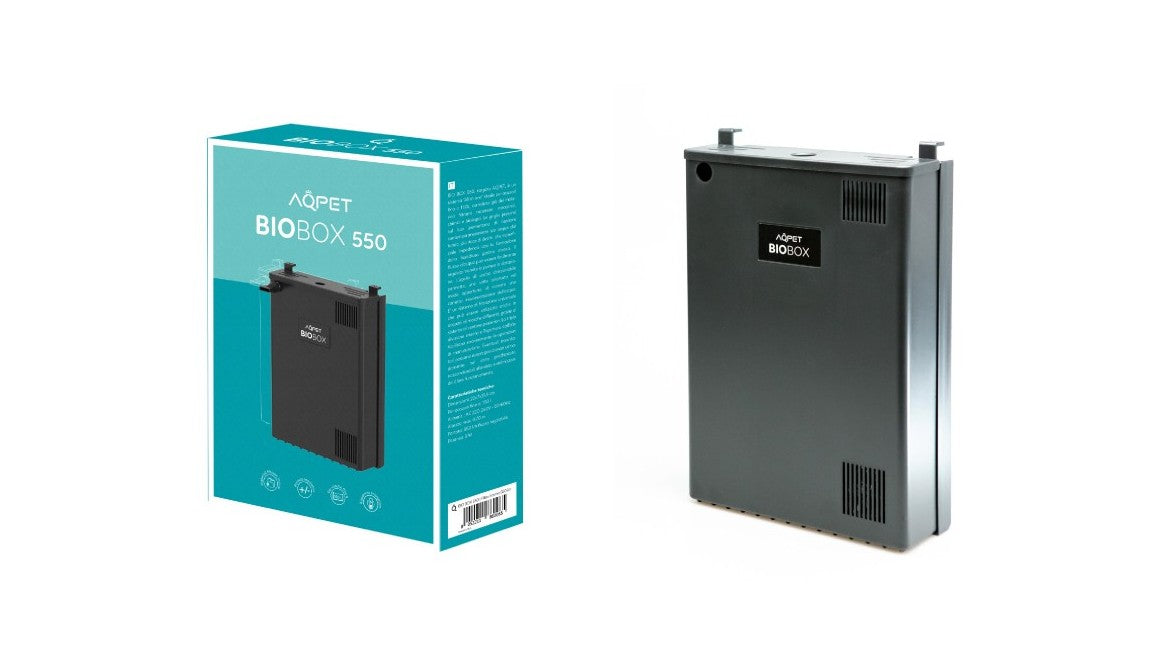 Il Filtro Biologico: Come Mantenere un Acquario Avanzato Sano a Lungo