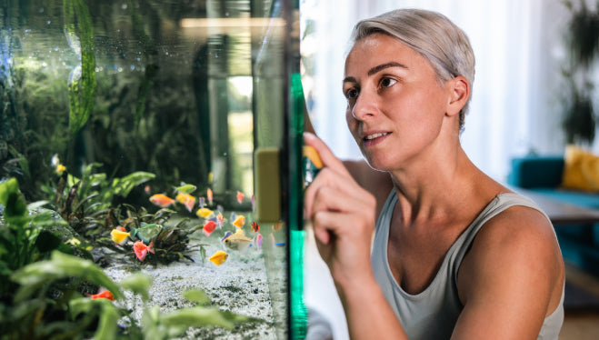 Come preparare l'acquario al rientro dalle vacanze