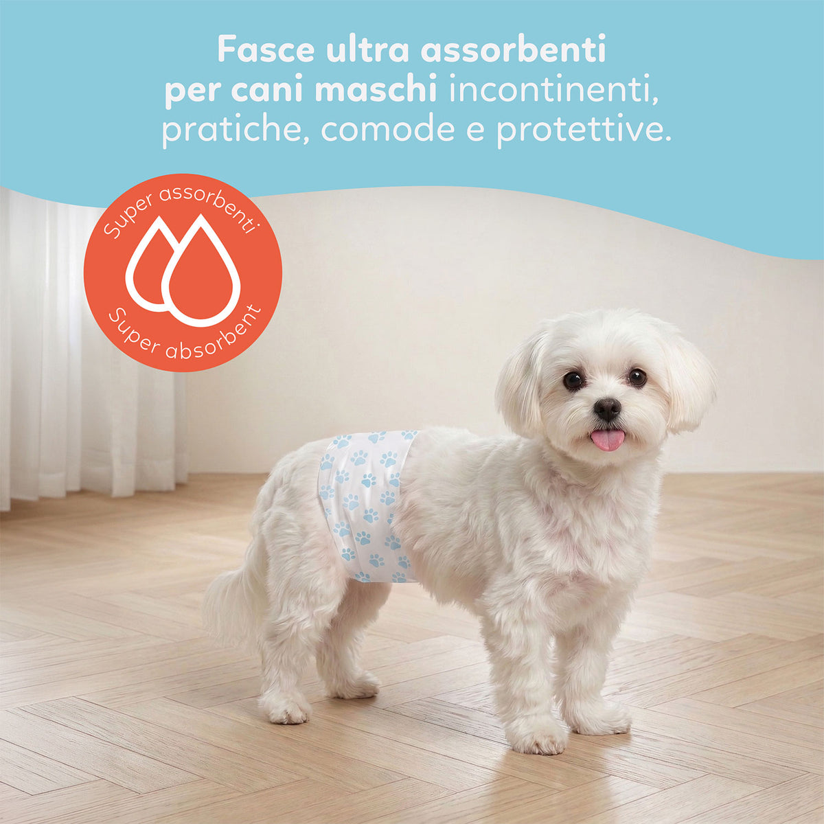 AQPET FRIENDS Nappy Slips Pañales de banda para perros machos 36 unidades Absorbentes Higiene diaria