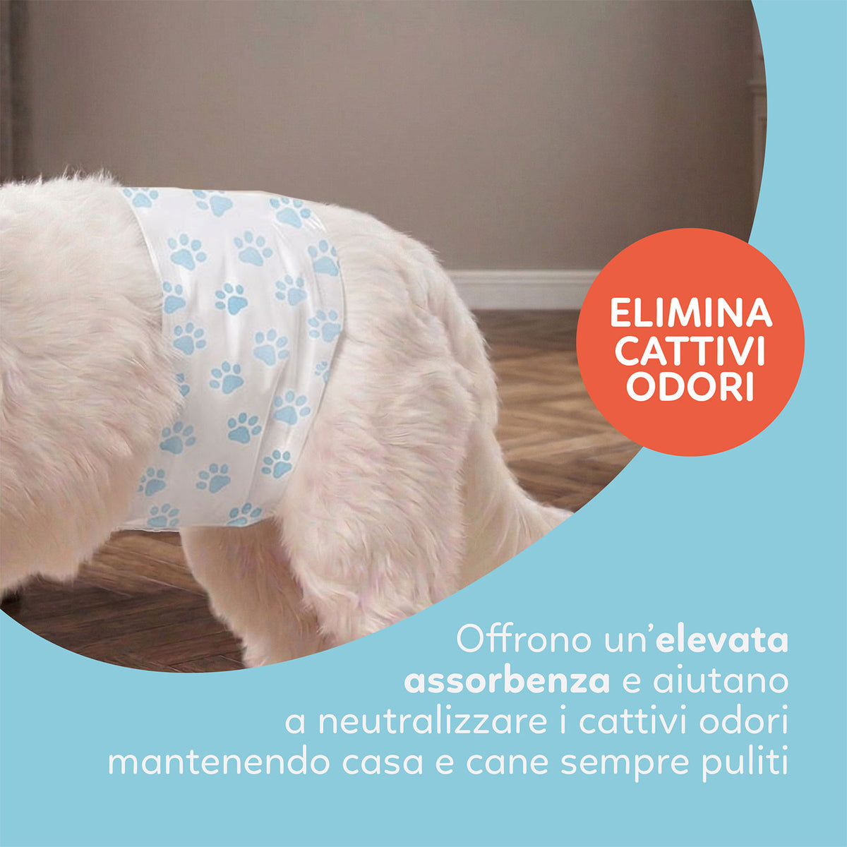 AQPET FRIENDS Nappy Slips Pañales de banda para perros machos 36 unidades Absorbentes Higiene diaria