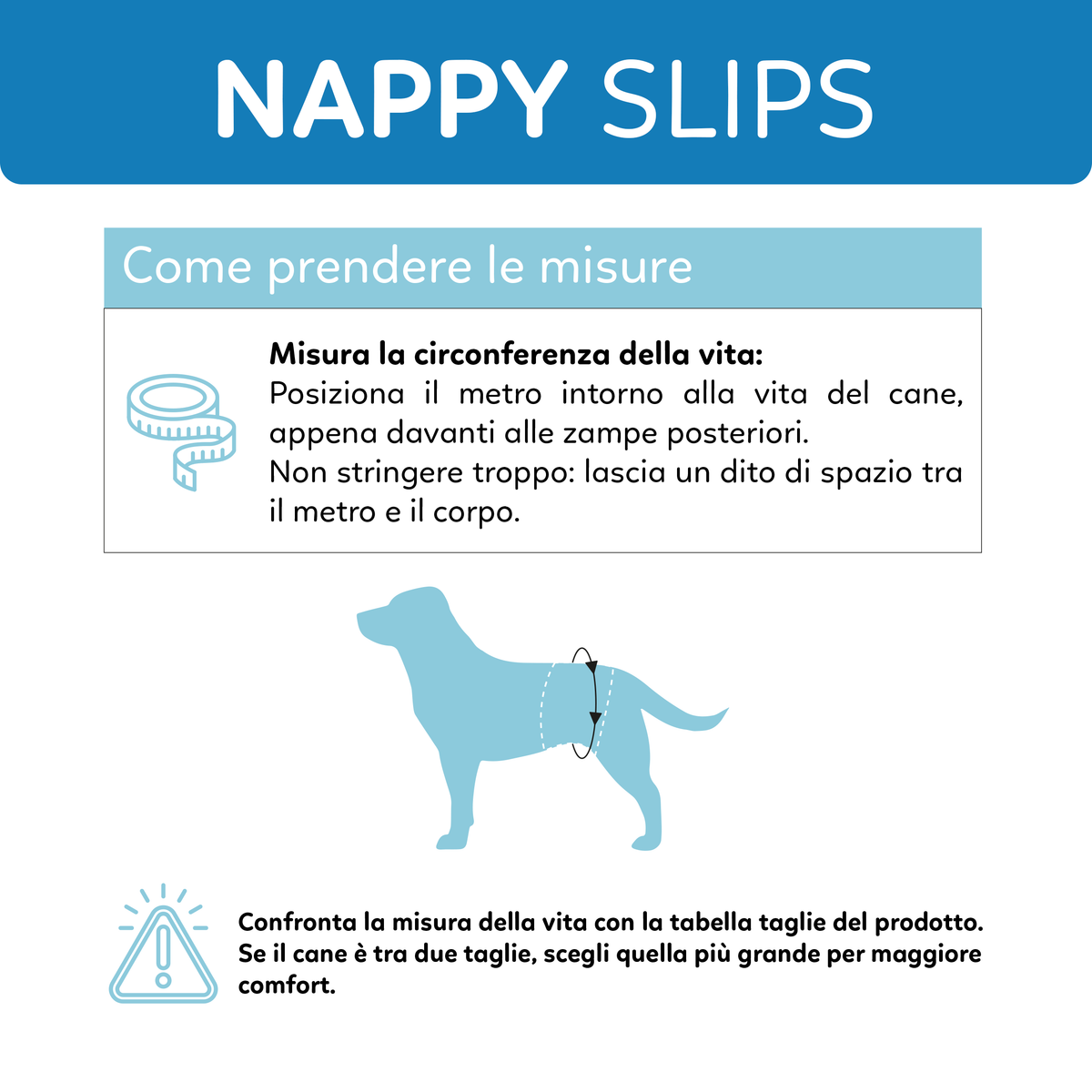 AQPET FRIENDS Nappy Slips Pañales de banda para perros machos 36 unidades Absorbentes Higiene diaria