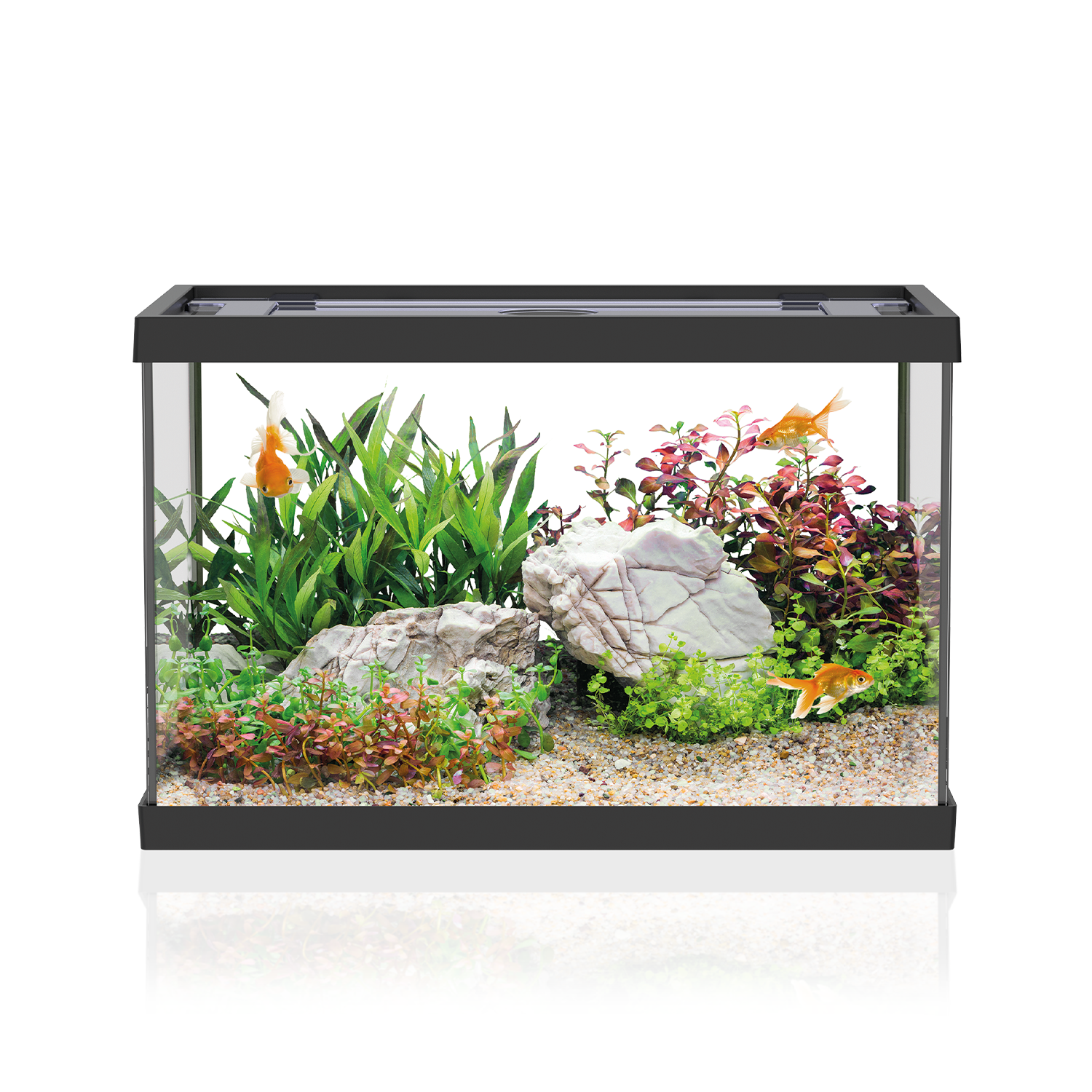 AQPET ACQUARIO ONE MINI IN VETRO 20 LT 39x22x26h NERO
