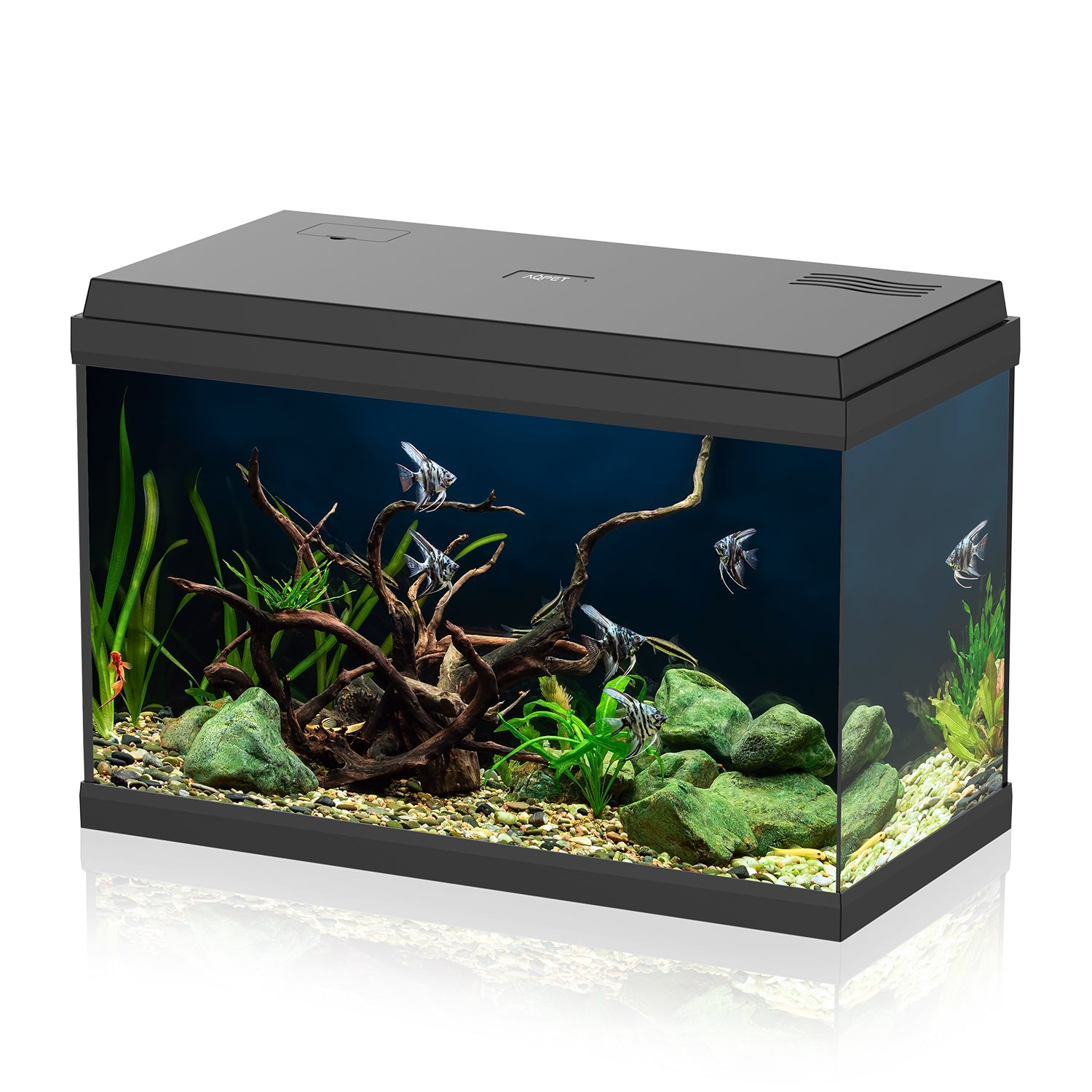 AQPET ACQUARIO SIMPLY LED 60 NERO COMPLETO LUCE FILTRO E RISCALDATORE - 59X30X39 H CM