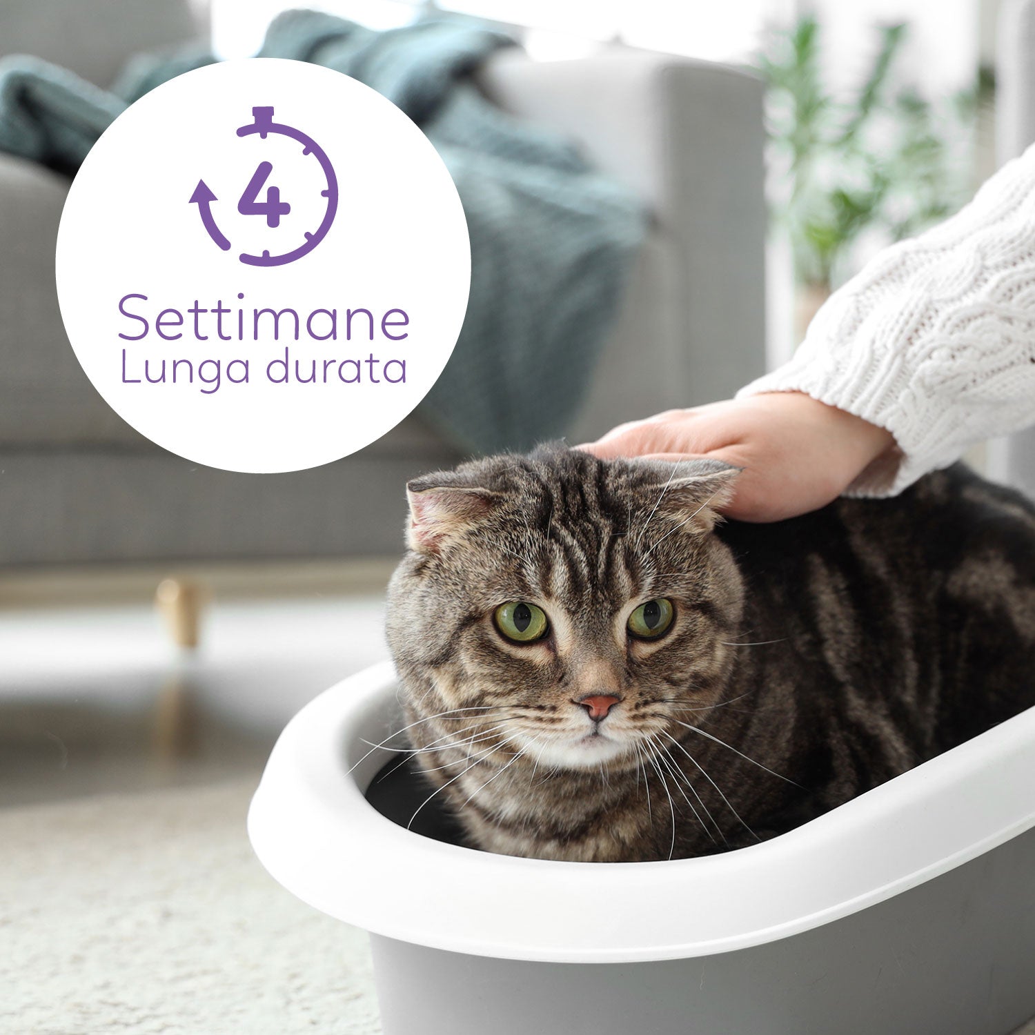 AQPET FRIENDS LETTIERA IN SILICIO CATTY PROFUMAZIONE LAVANDA