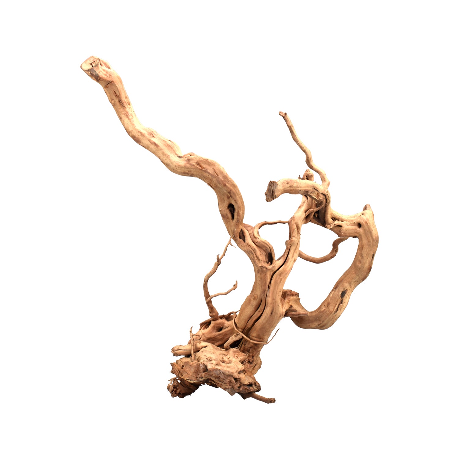 AQPET ZEN WOOD ROOT WOOD ROOT SELECT