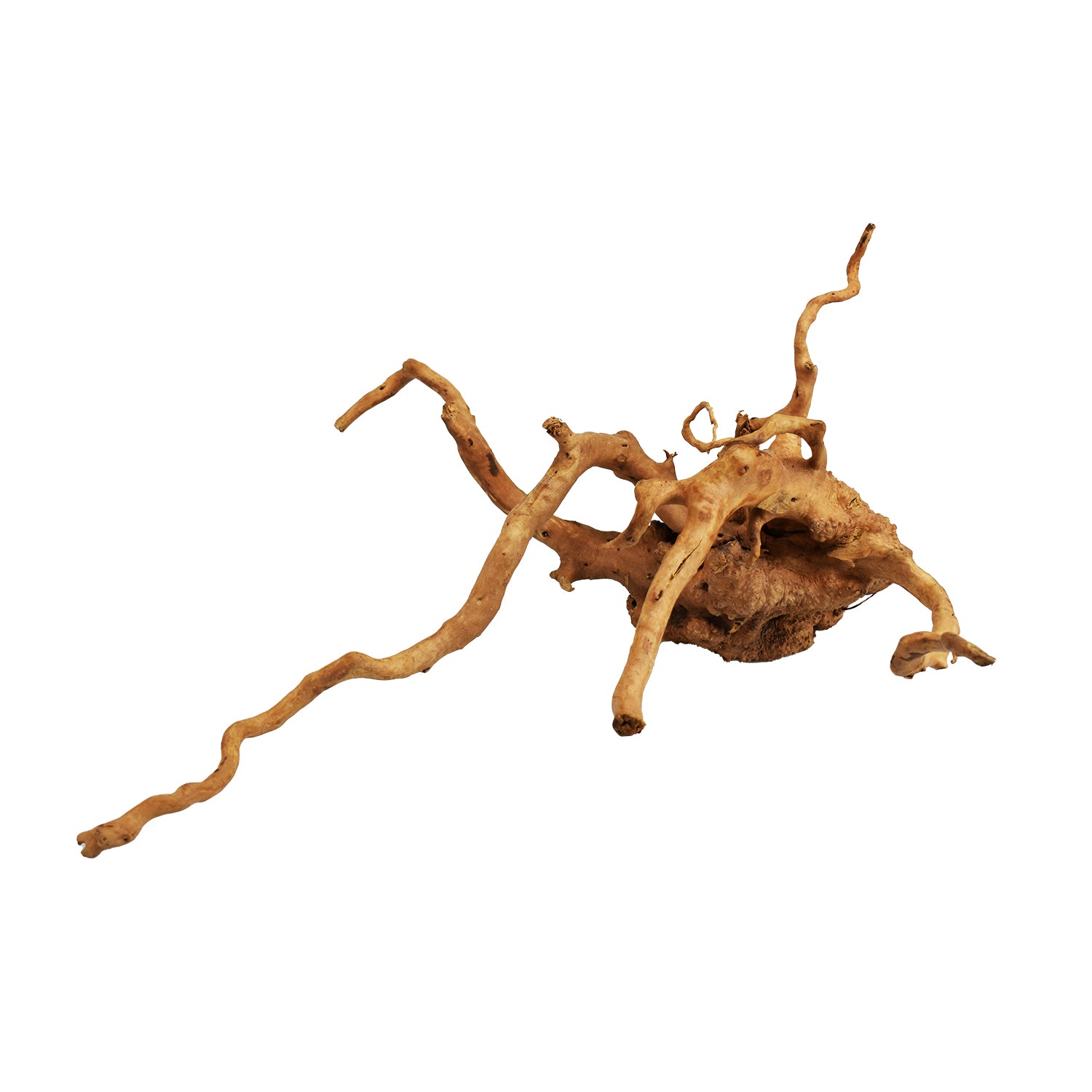 AQPET ZEN WOOD ROOT WOOD ROOT SELECT