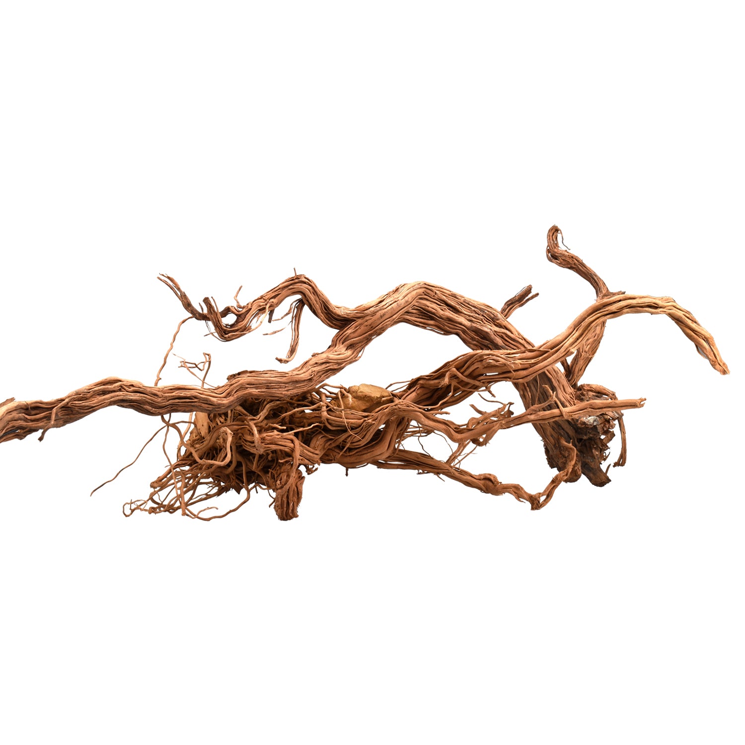 AQPET ZEN WOOD AZALEA DRAGON RADICE LEGNO SELECT