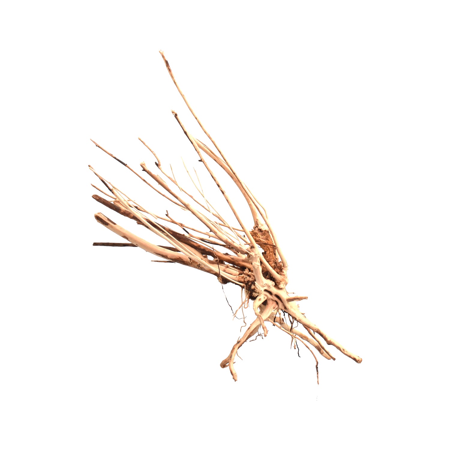 AQPET ZEN WOOD SLIM ROOT WOOD SELECT