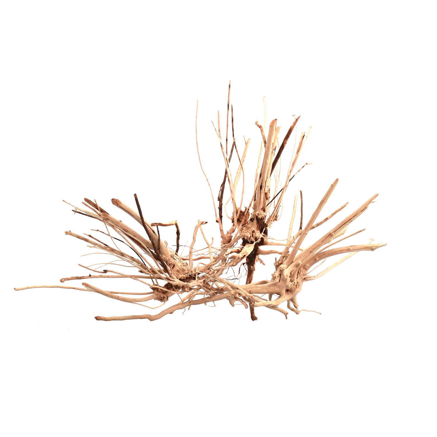 AQPET ZEN WOOD SLIM RADICE LEGNO SELECT