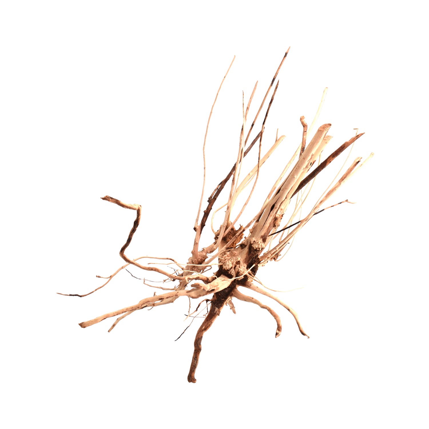 AQPET ZEN WOOD SLIM ROOT WOOD SELECT