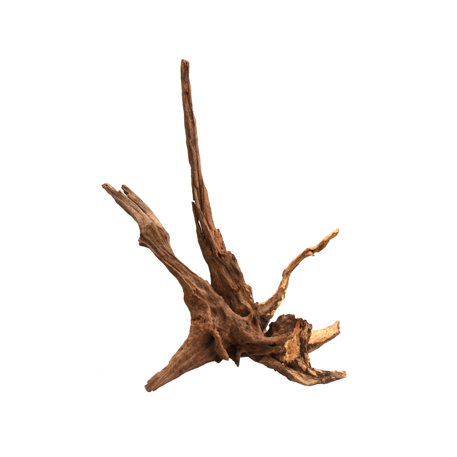 AQPET ZEN WOOD DRIFT RADICE LEGNO