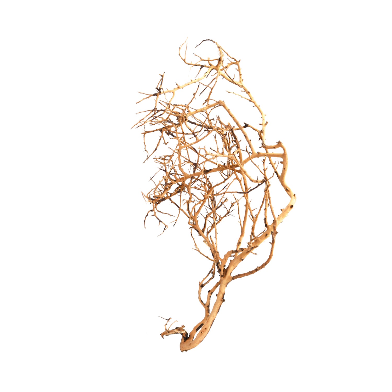 AQPET ZEN WOOD TINY ROOT WOOD