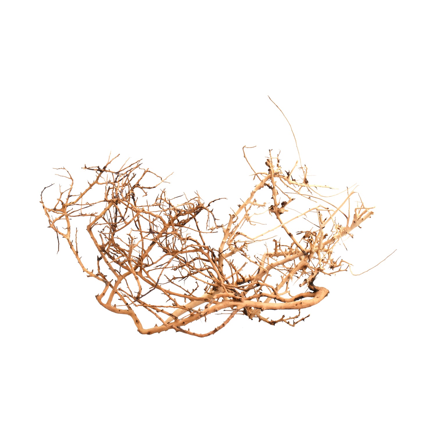 AQPET ZEN WOOD TINY ROOT WOOD