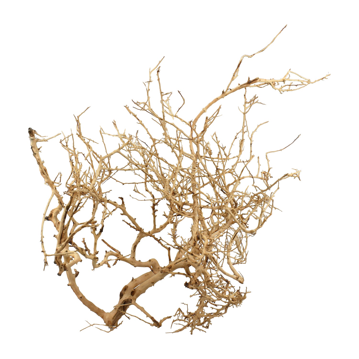 AQPET ZEN WOOD TINY ROOT WOOD