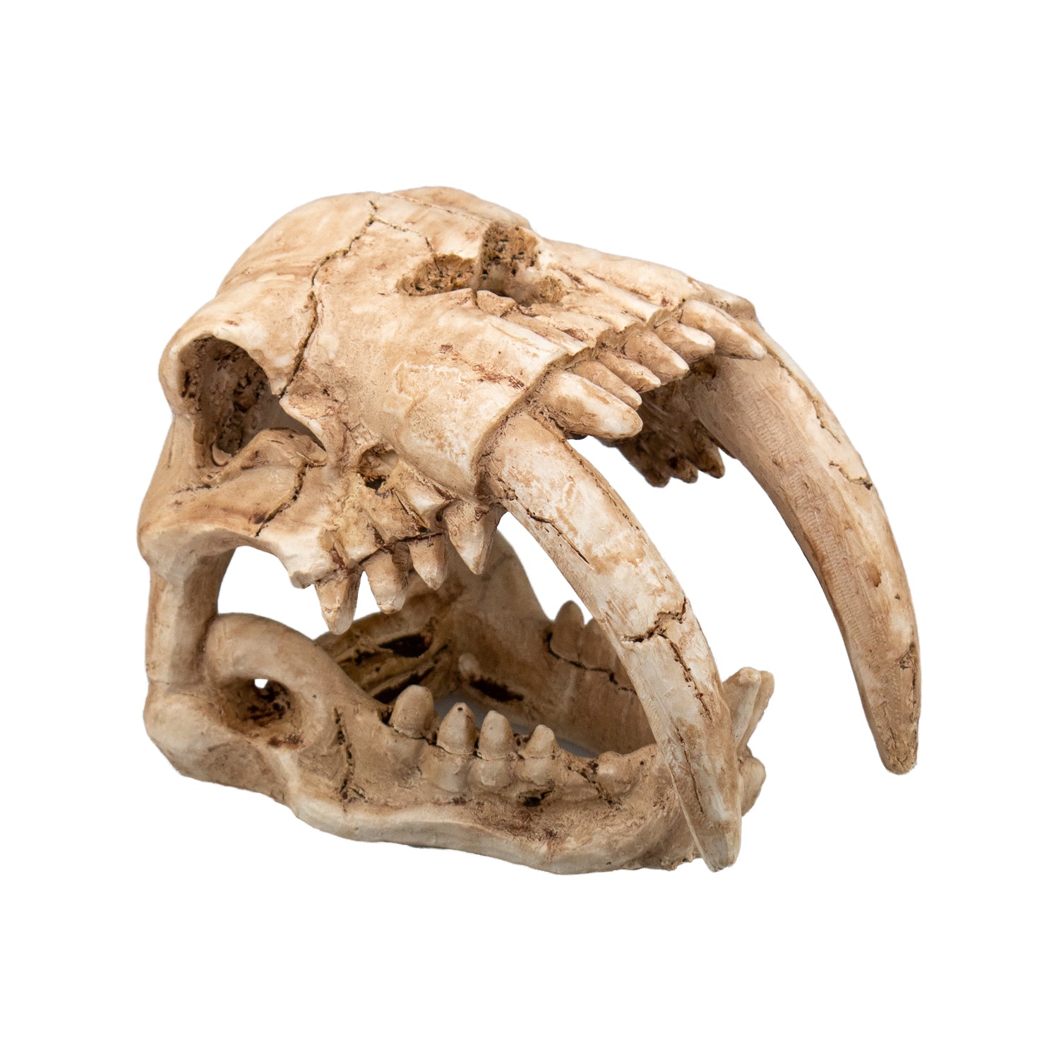 AQPET DECORART AQUARIUM DECORATIONS MOD. FOSSIL SKULL 15*9.5*11