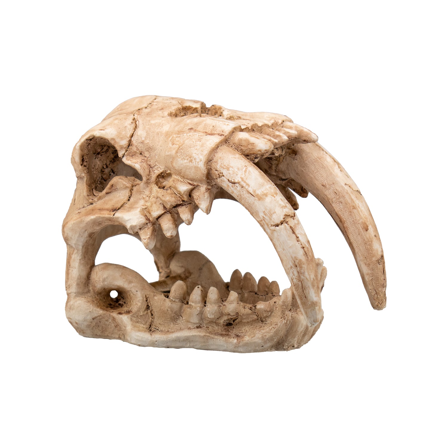 AQPET DECORART AQUARIUM DECORATIONS MOD. FOSSIL SKULL 15*9.5*11
