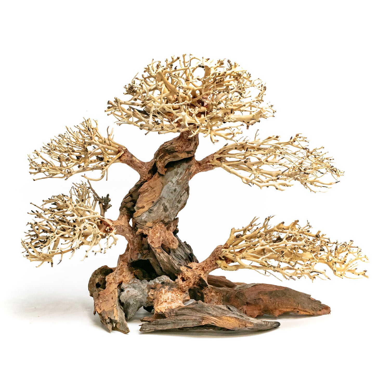 AQPET ZEN BONSAI WOOD