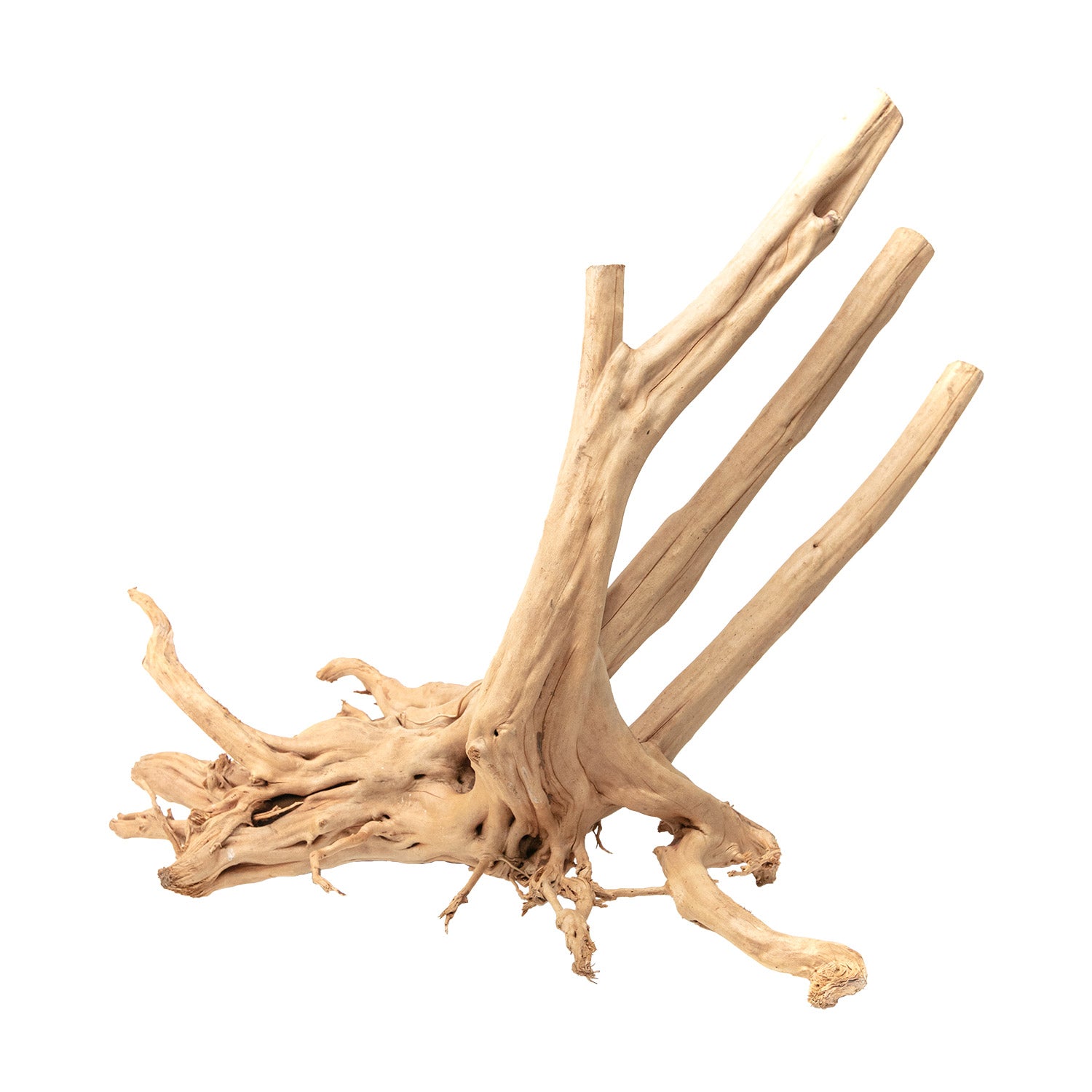 AQPET ZEN WOOD STUMPS