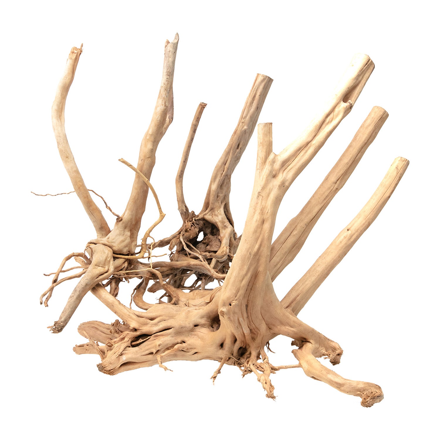 AQPET ZEN WOOD STUMPS