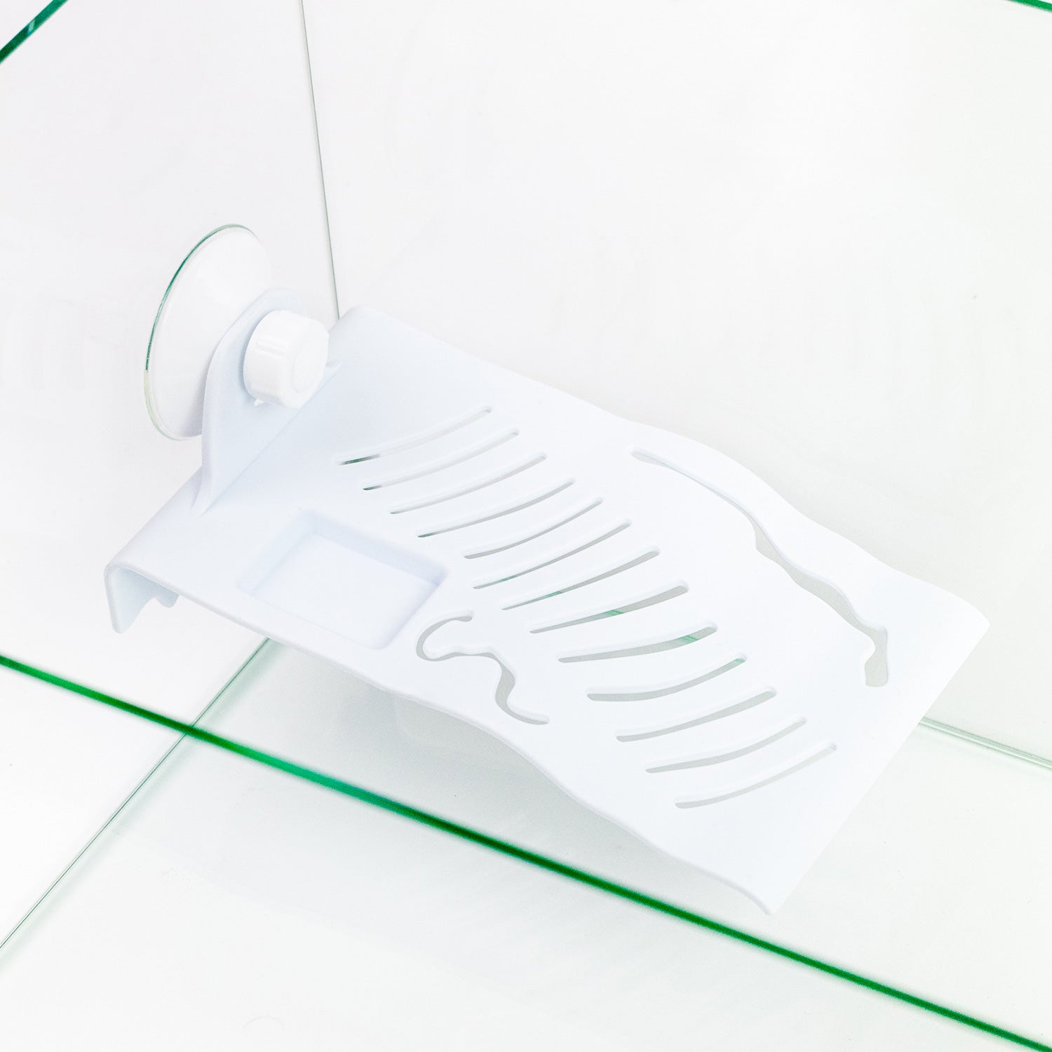 AQPET TARTARUGHIERA IN VETRO TORTUGA 60 - 60X30X25 CM CON ISOLOTTO