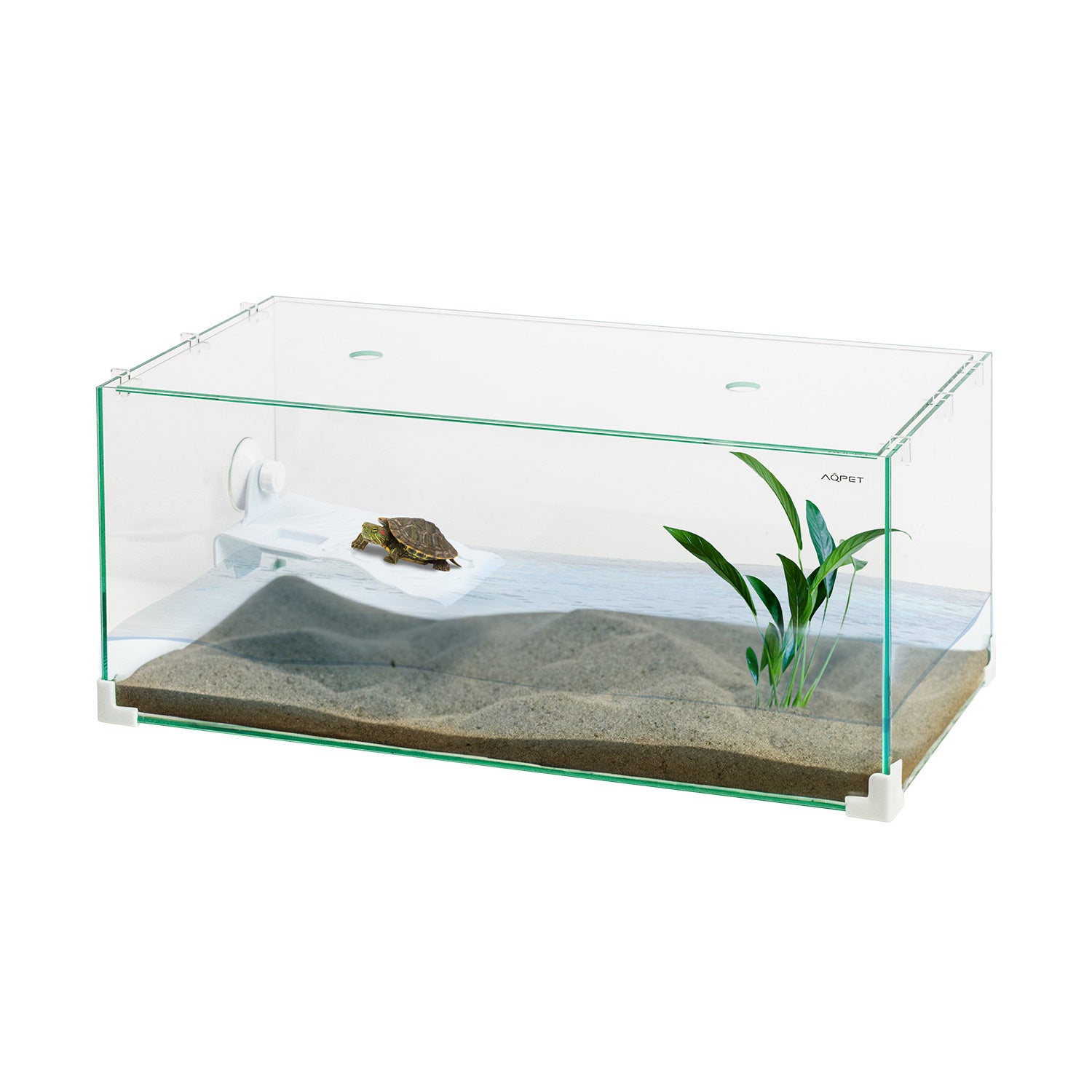AQPET TARTARUGHIERA IN VETRO TORTUGA 60 - 60X30X25 CM CON ISOLOTTO