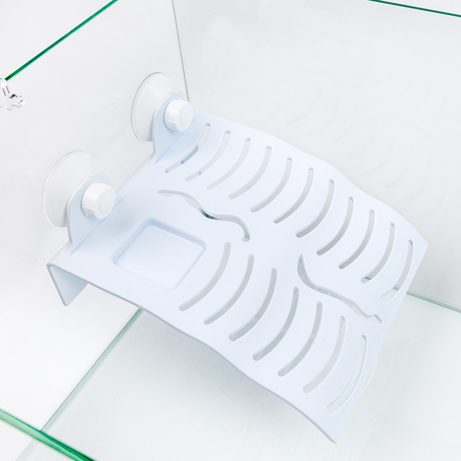 AQPET TARTARUGHIERA IN VETRO TORTUGA 80 - 80X35X28 CM CON ISOLOTTO