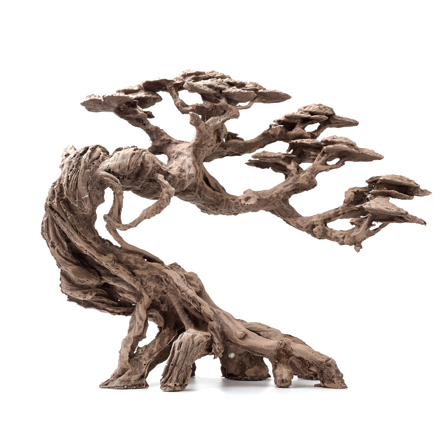AQPET ZEN BONSAI IN RESINA 2