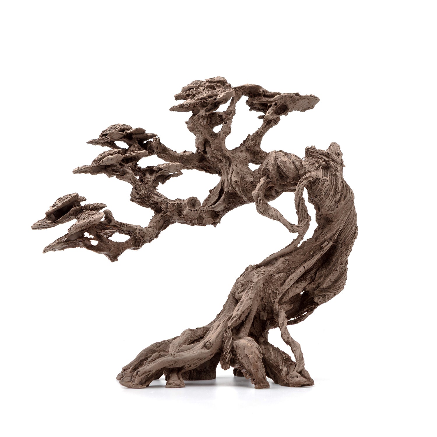 AQPET ZEN BONSAI IN RESINA 3