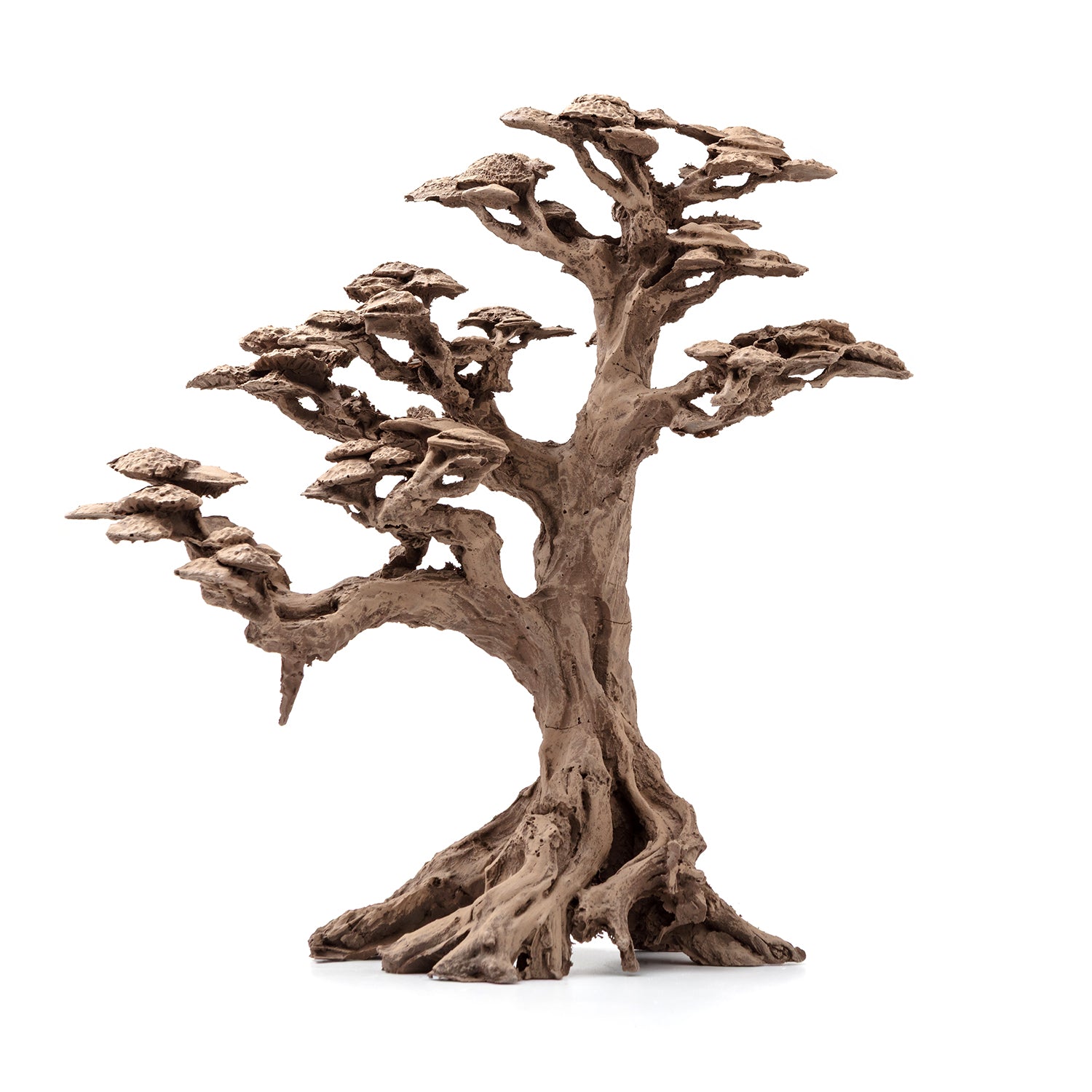 AQPET ZEN BONSAI IN RESINA 4
