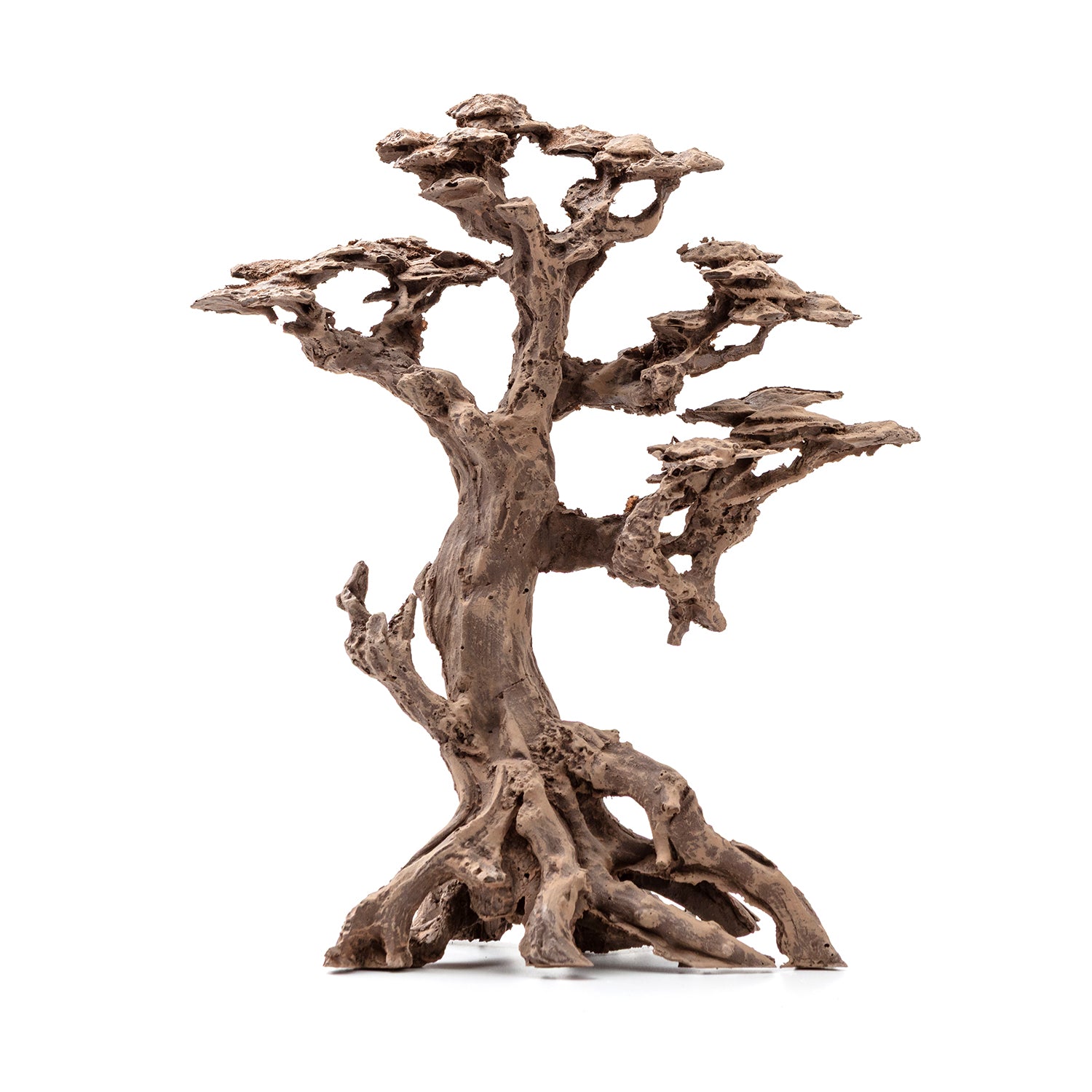 AQPET ZEN BONSAI IN RESINA 5