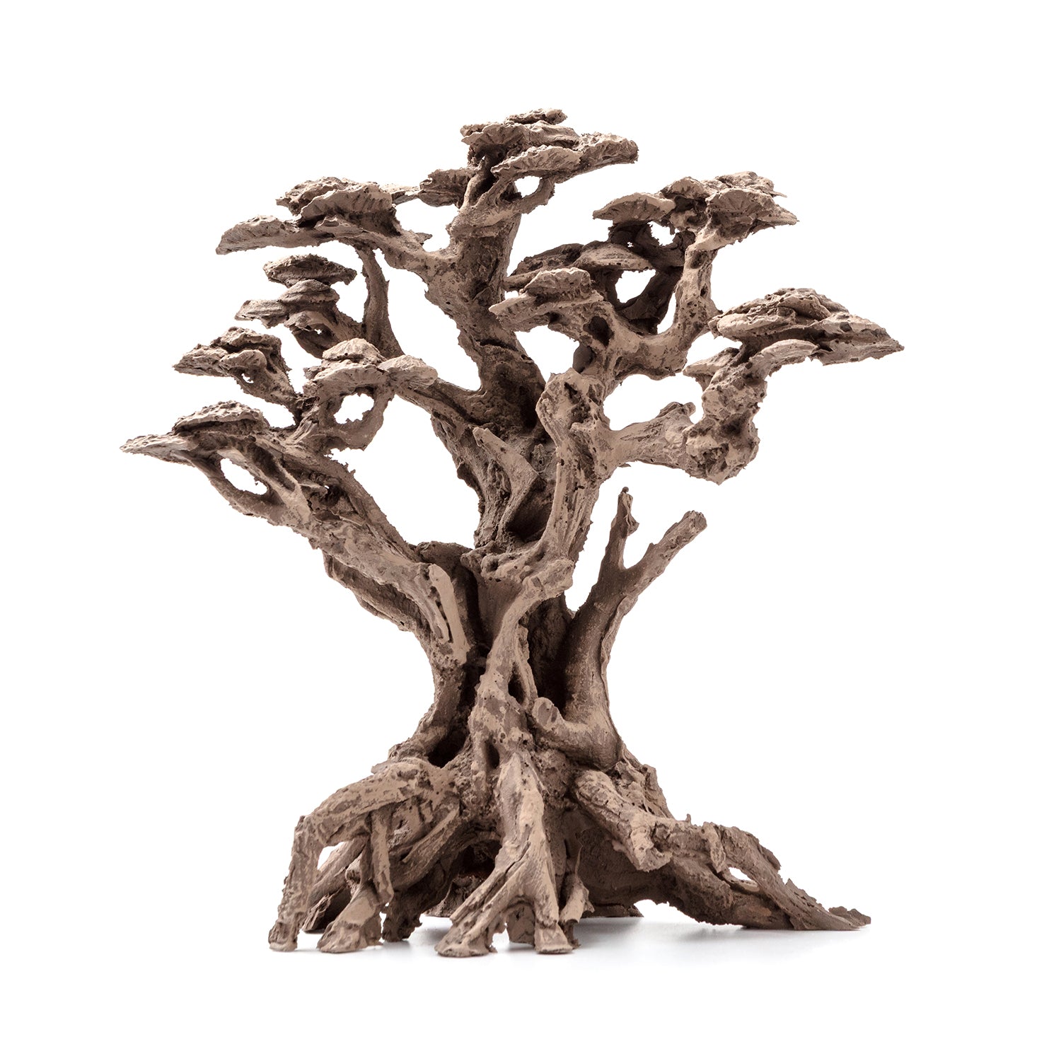 AQPET ZEN BONSAI IN RESINA 6