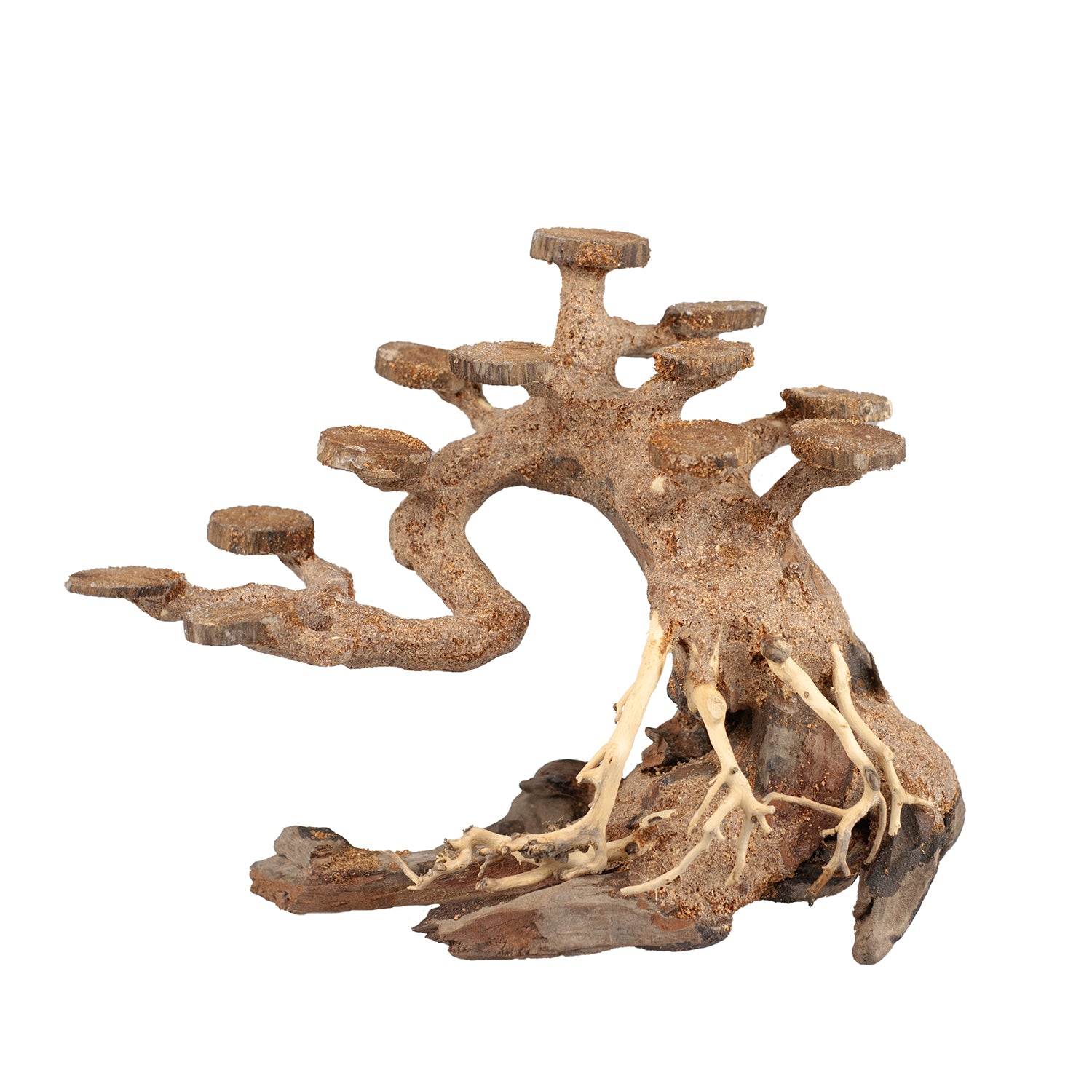AQPET ZEN BONSAI TREE