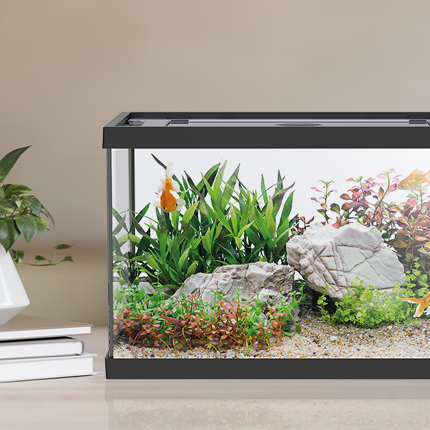 AQPET ACQUARIO ONE MINI IN VETRO 20 LT 39x22x26h NERO