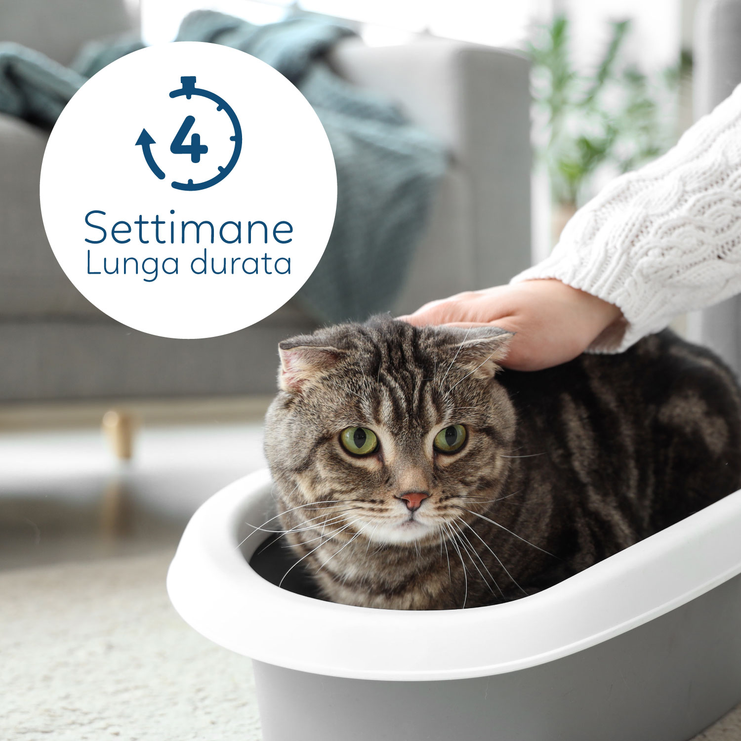 AQPET FRIENDS LETTIERA IN SILICIO CATTY PROFUMAZIONE PH CHECK