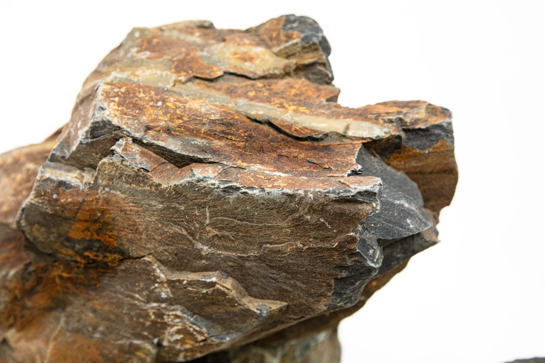 AQPET ZEN STONE ROCCE BLACK FOREST (PACK 10KG MIXED) 300GR /3 KG