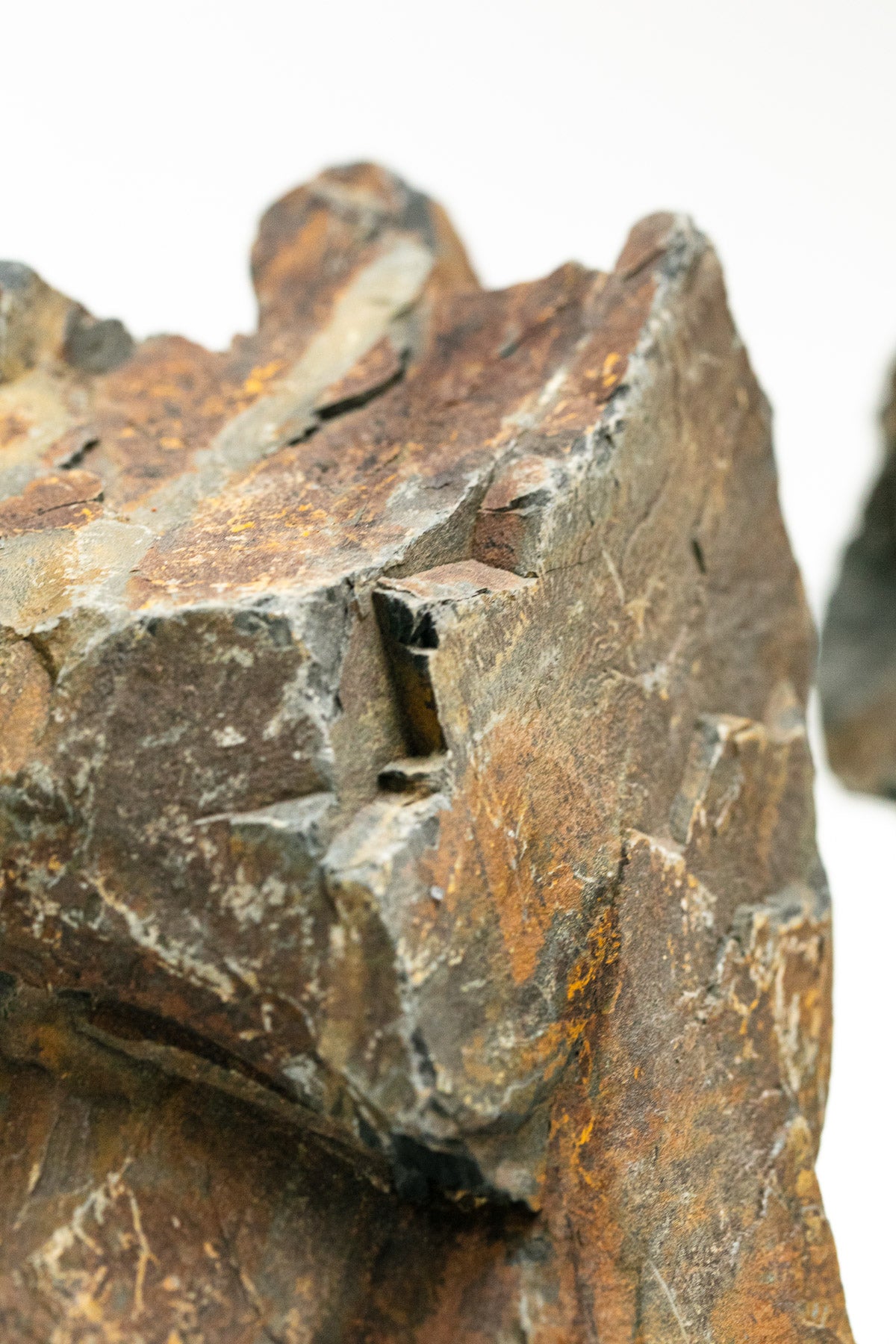 AQPET ZEN STONE ROCCE BLACK FOREST (PACK 10KG MIXED) 300GR /3 KG