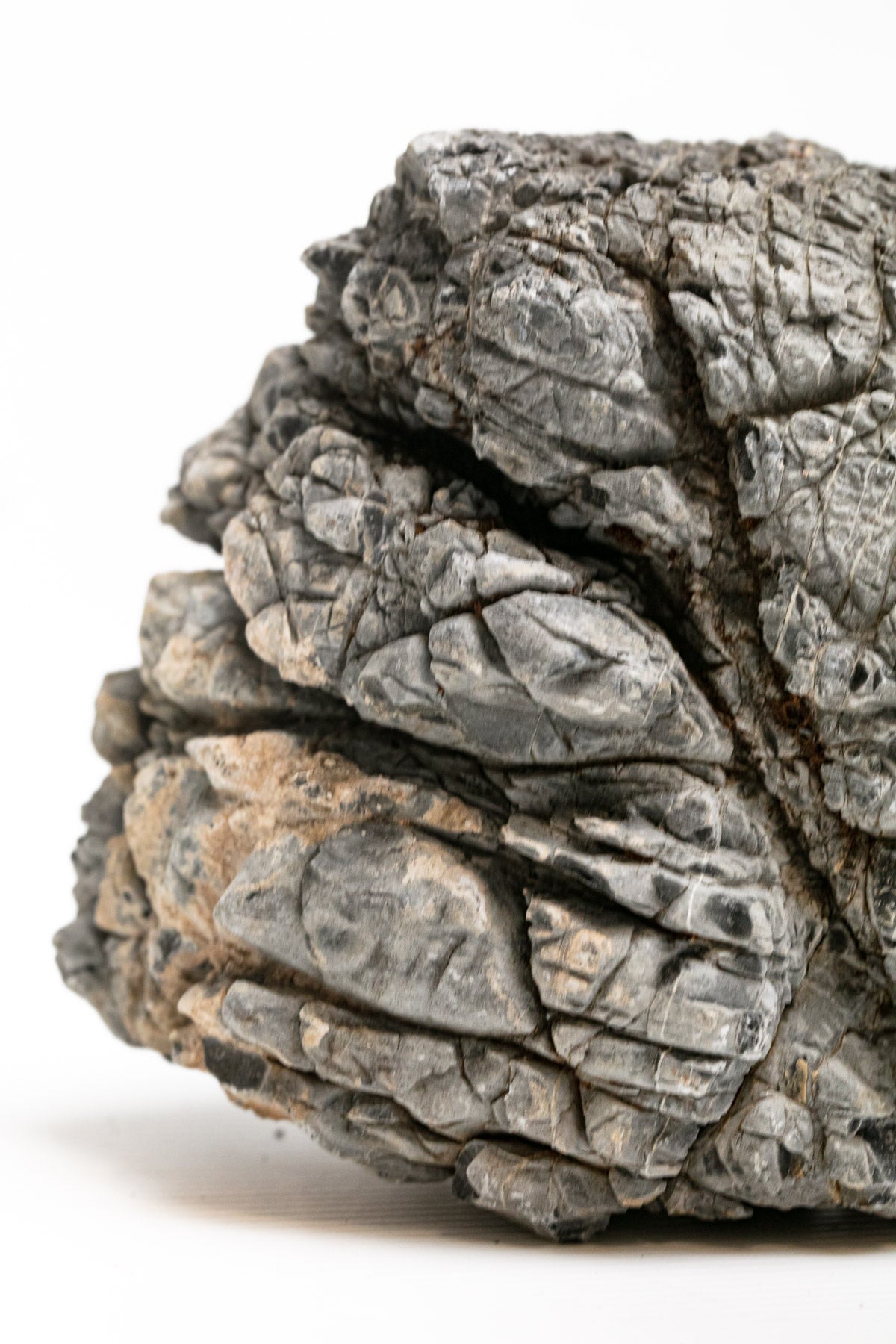 AQPET ZEN STONE ROCCE CORNERS (CONF.20KG MIXED) 300GR /3 KG