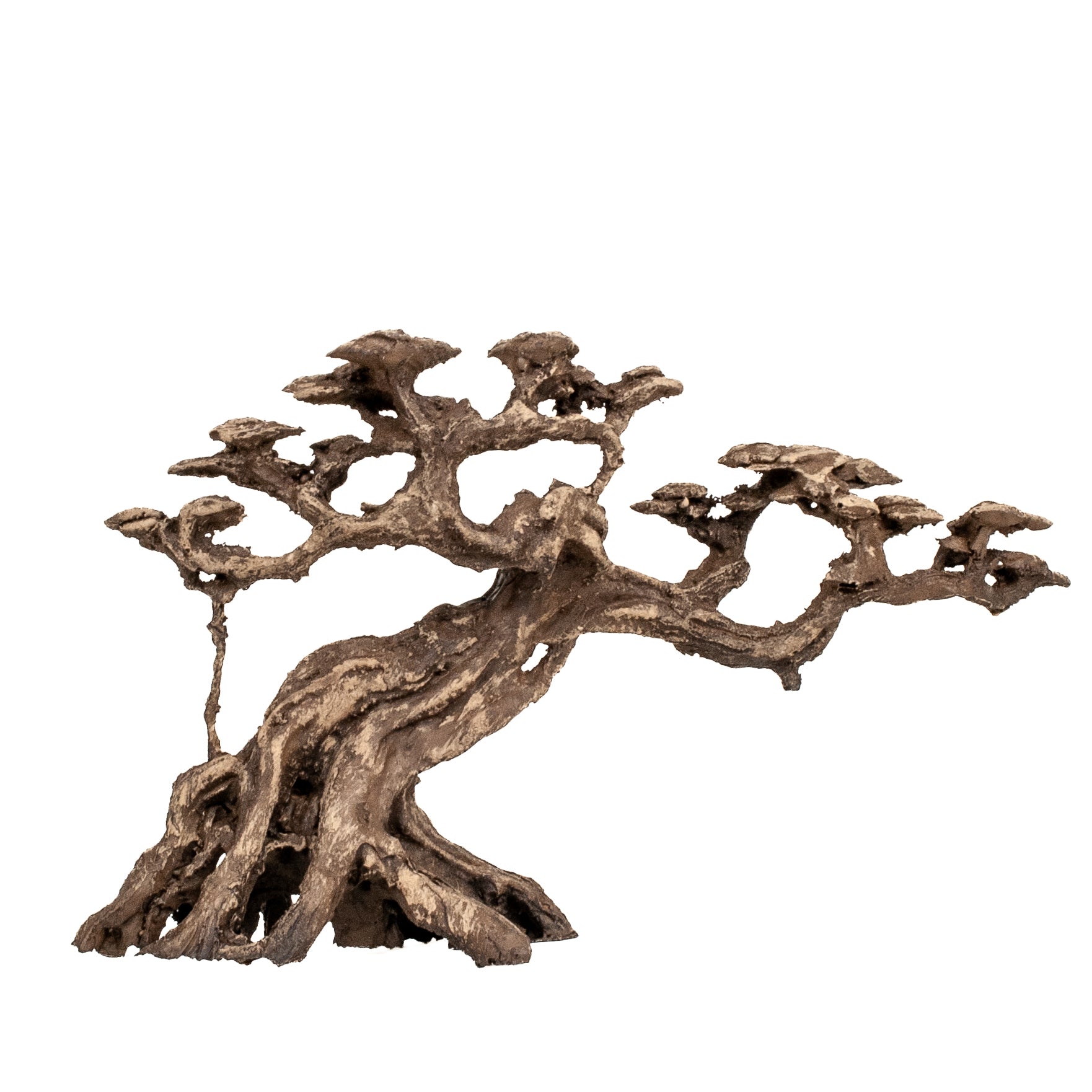 AQPET ZEN BONSAI IN RESINA 12