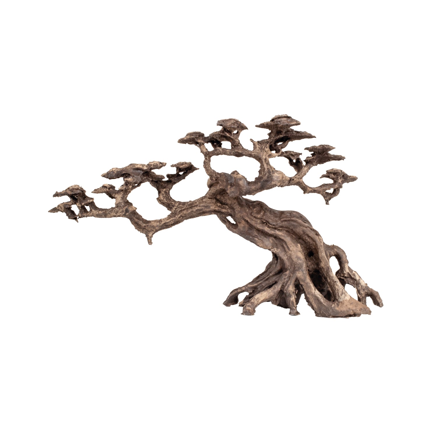 AQPET ZEN BONSAI IN RESINA 13