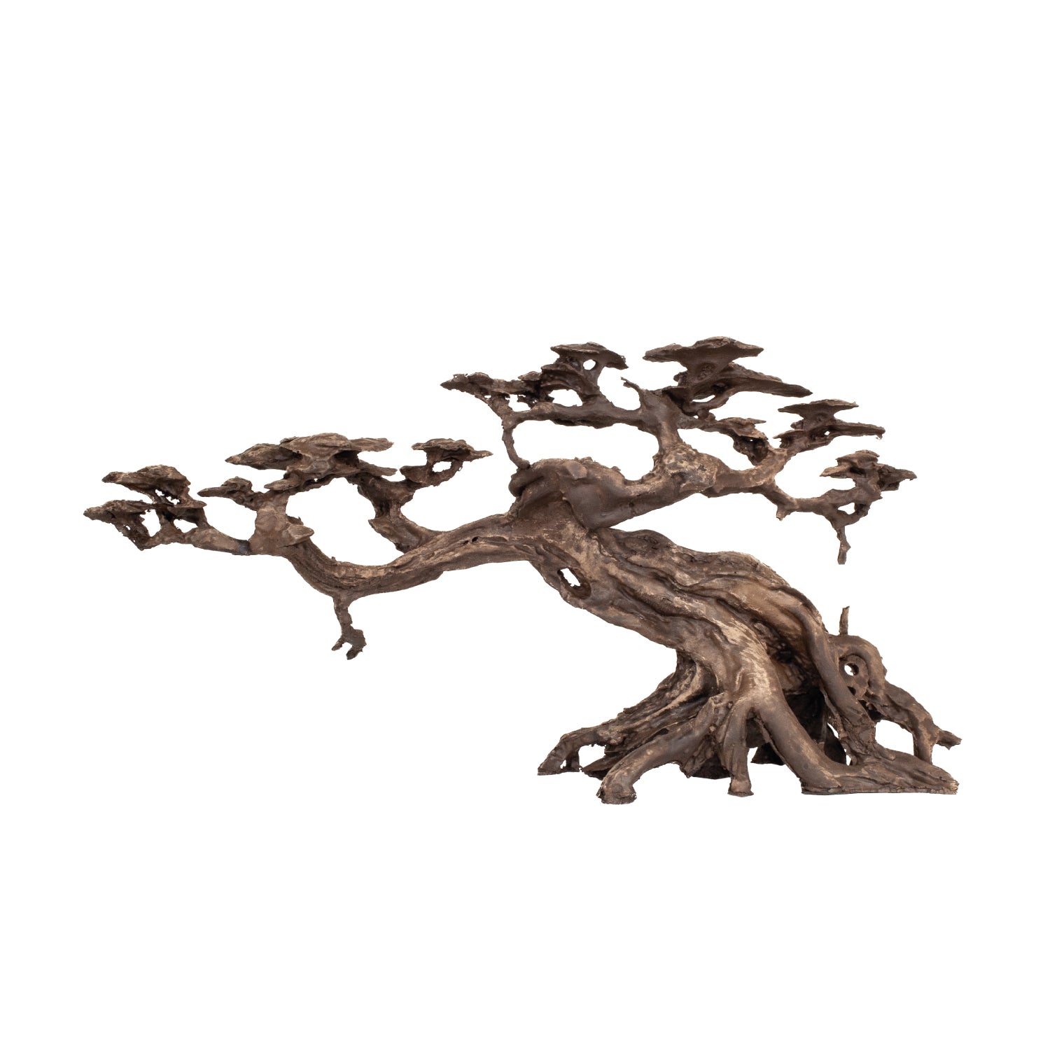 AQPET ZEN BONSAI IN RESINA 15