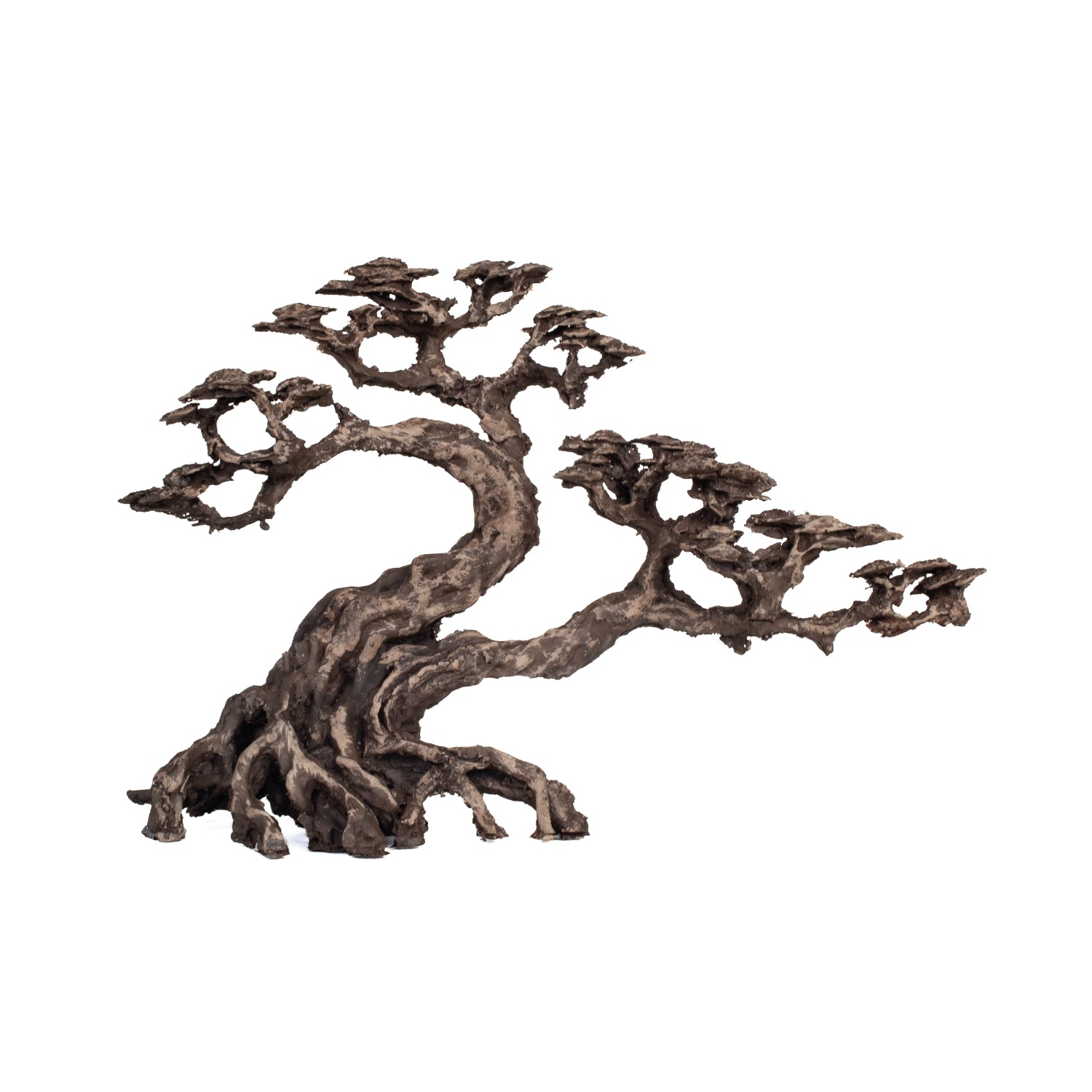 AQPET ZEN BONSAI IN RESINA 18
