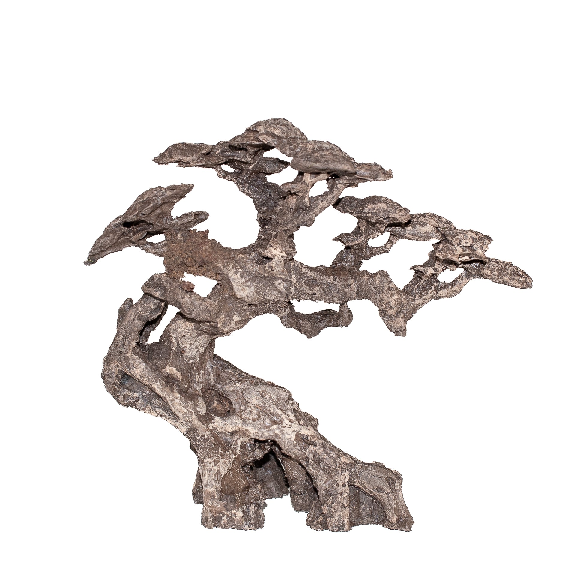 AQPET ZEN BONSAI IN RESINA 9