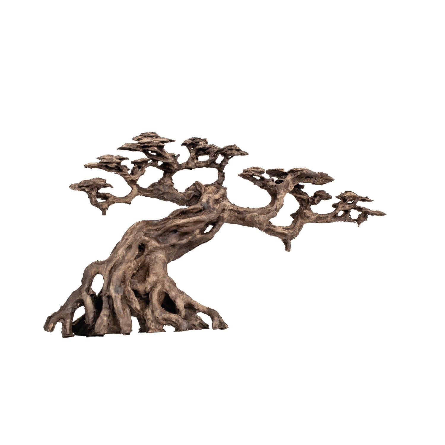 AQPET ZEN BONSAI IN RESINA 13