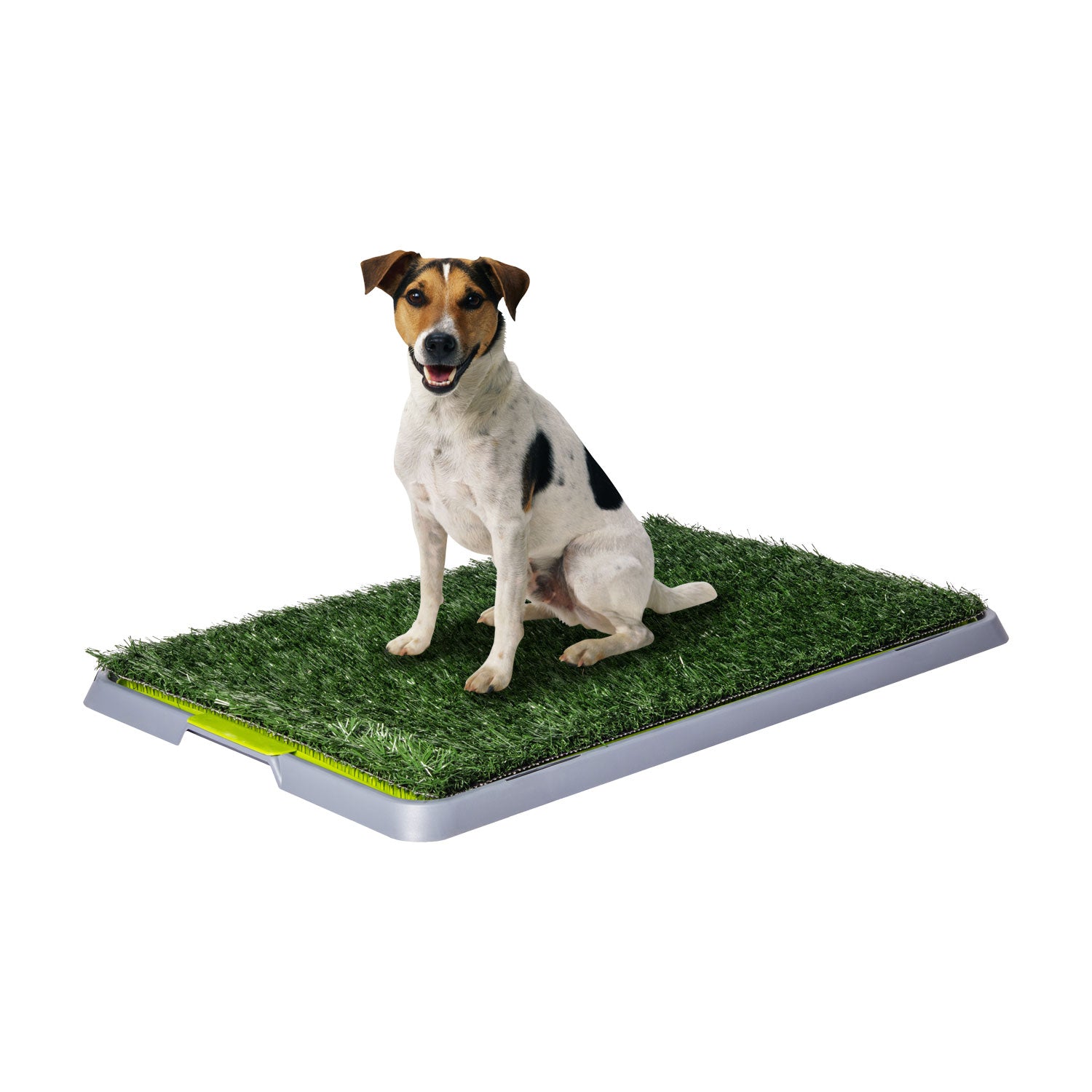 AQPET FRIENDS DOGLITTER LETTIERA ERBA SINTETICA MEDIUM