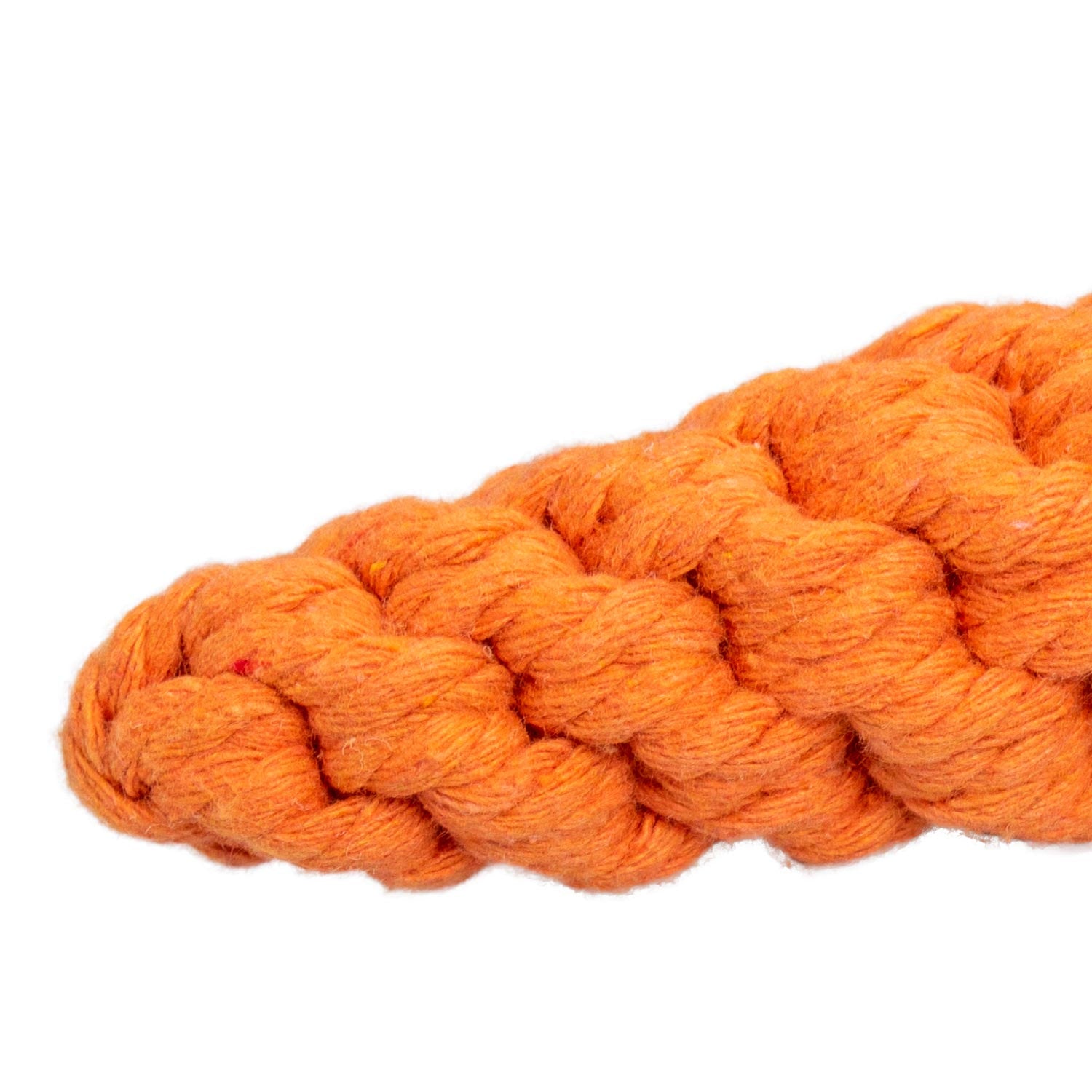 AQPET GIOCHI PER CANE ROPE CAROTA DI CORDA IN COTONE 21 X 4CM