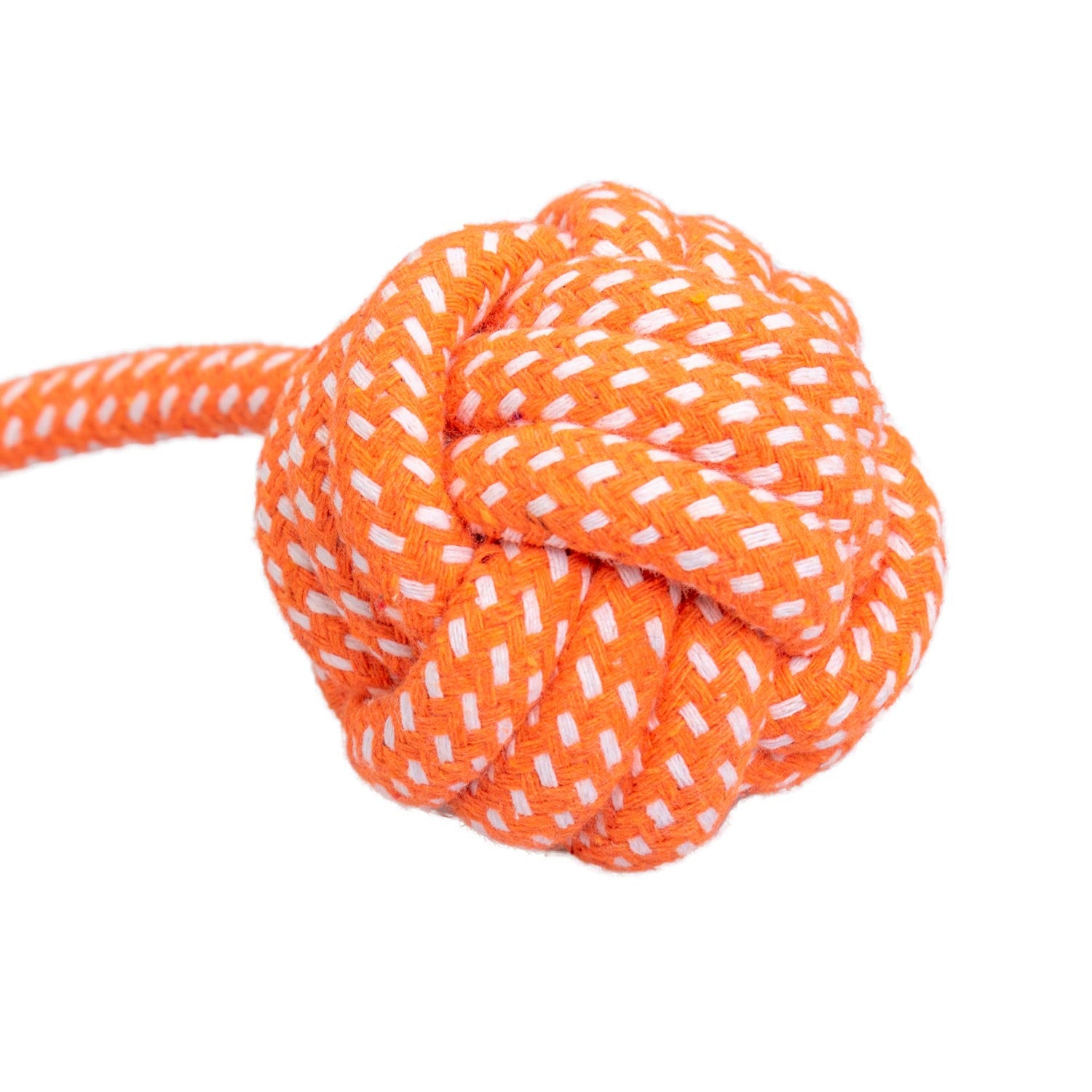 AQPET GIOCHI PER CANE ROPE CORDA CON PALLA IN COTONE 41 X 7 CM