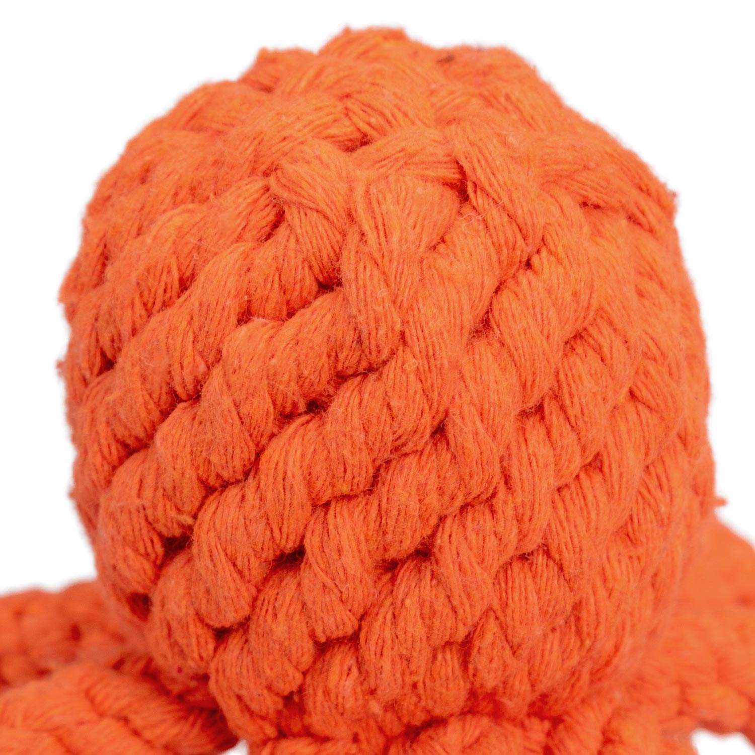 AQPET GIOCHI PER CANE ROPE POLIPO DI CORDA IN COTONE 10X6.5CM