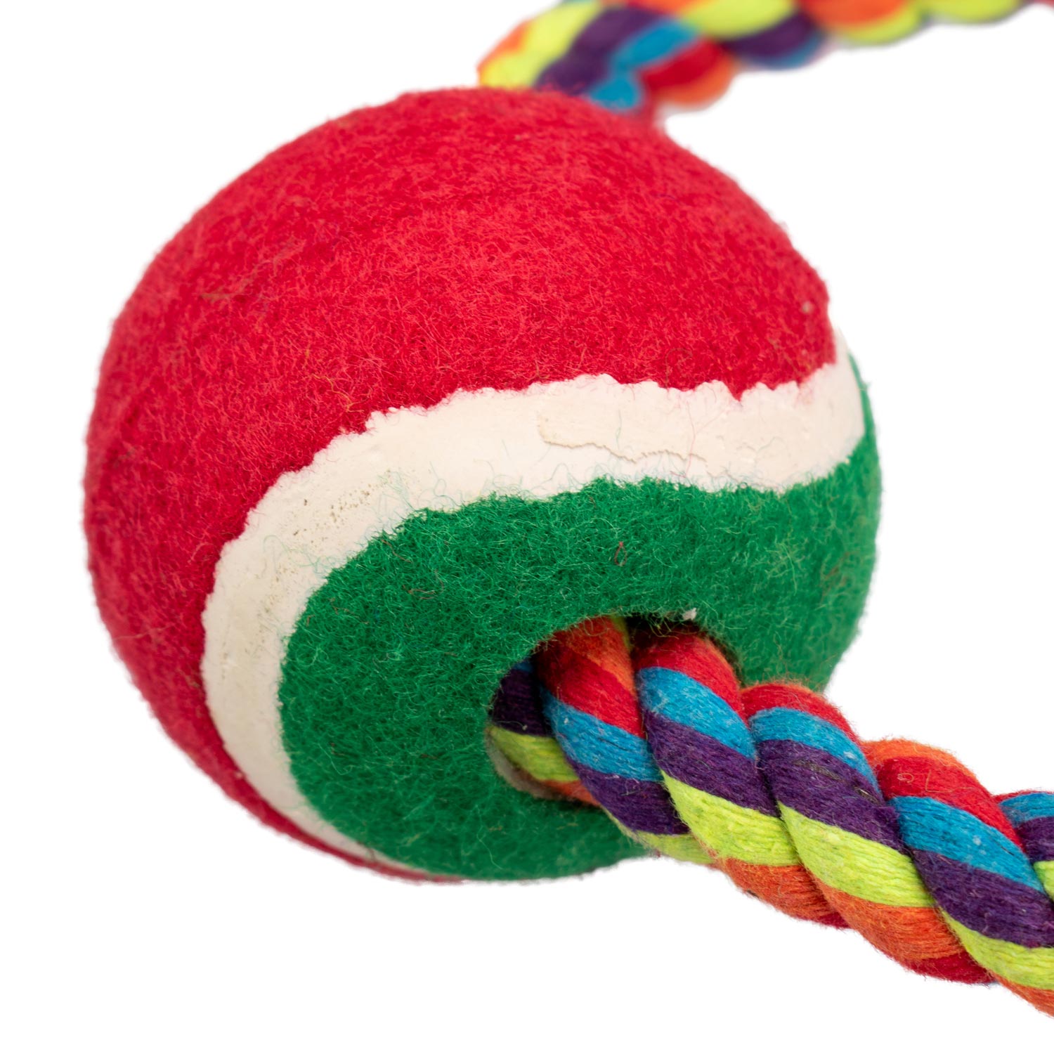 AQPET GIOCHI PER CANE SMARTY RING IN CORDA CON PALLINA 20 X 7 CM