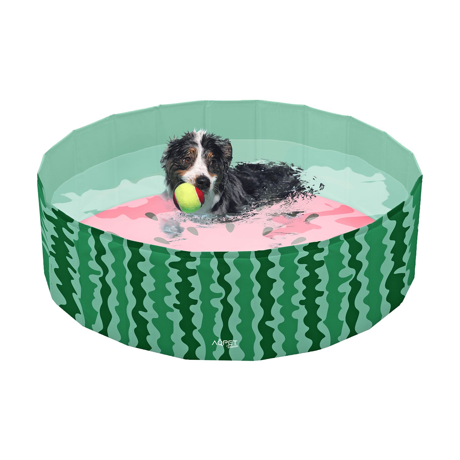 AQPET FRIENDS POOL PISCINA CANE - FRUIT