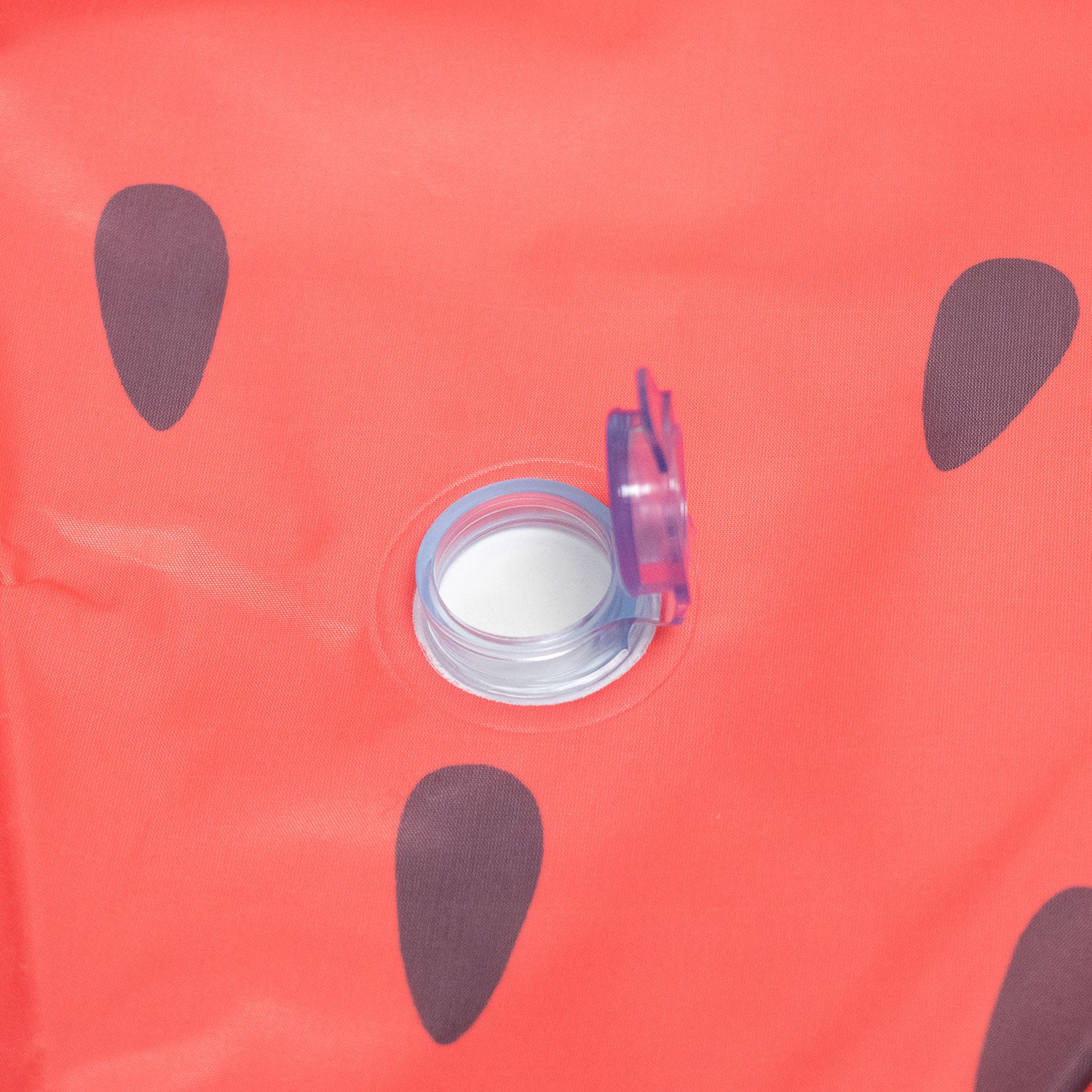 AQPET FRIENDS POOL PISCINA CANE - FRUIT